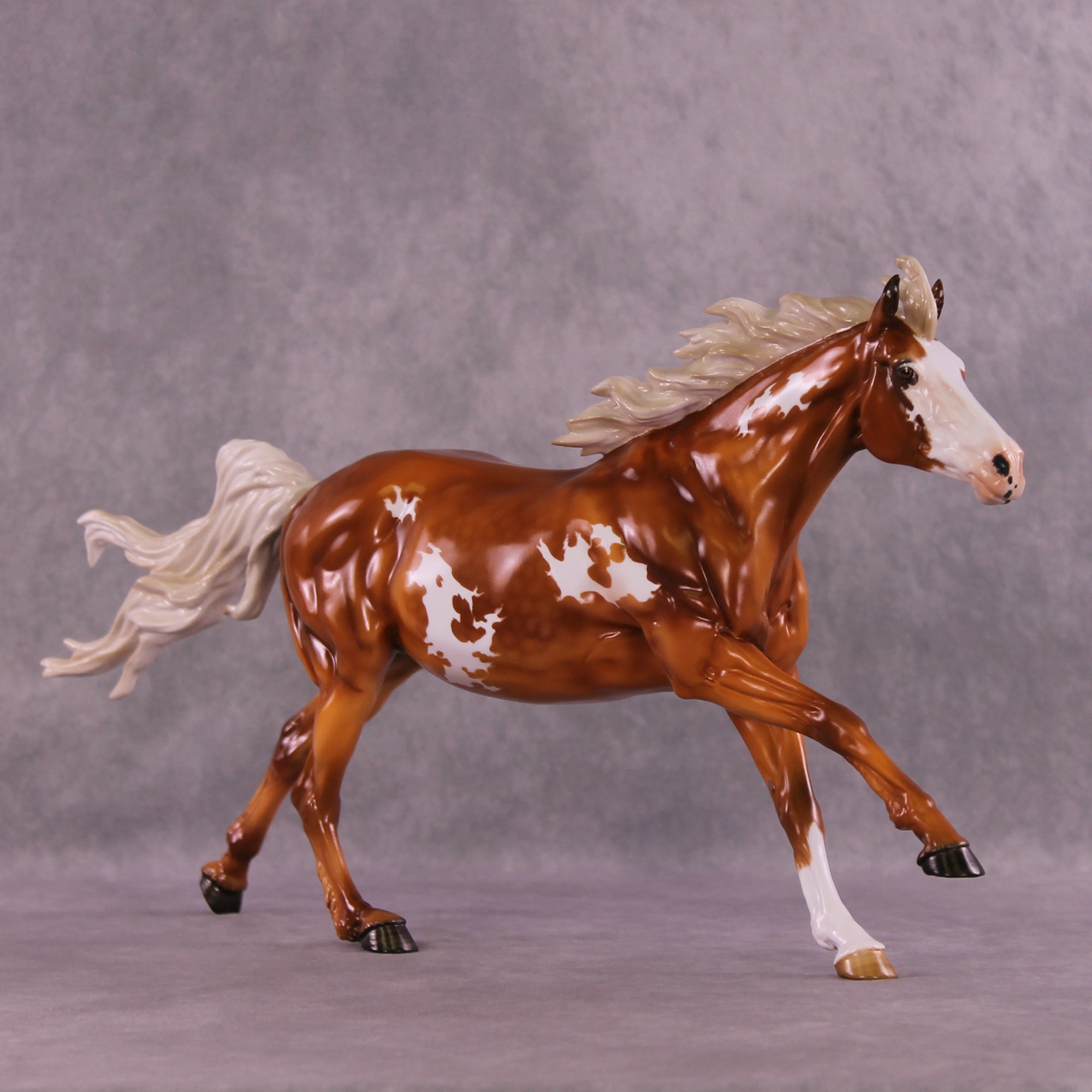 Hamuna FCM Volo by Angela Marleau 11/25/2025 SS1125