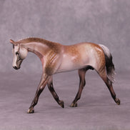 A Rose Is A Rose or Roses In December Pebble Warmblood by Dawn Quick FS25