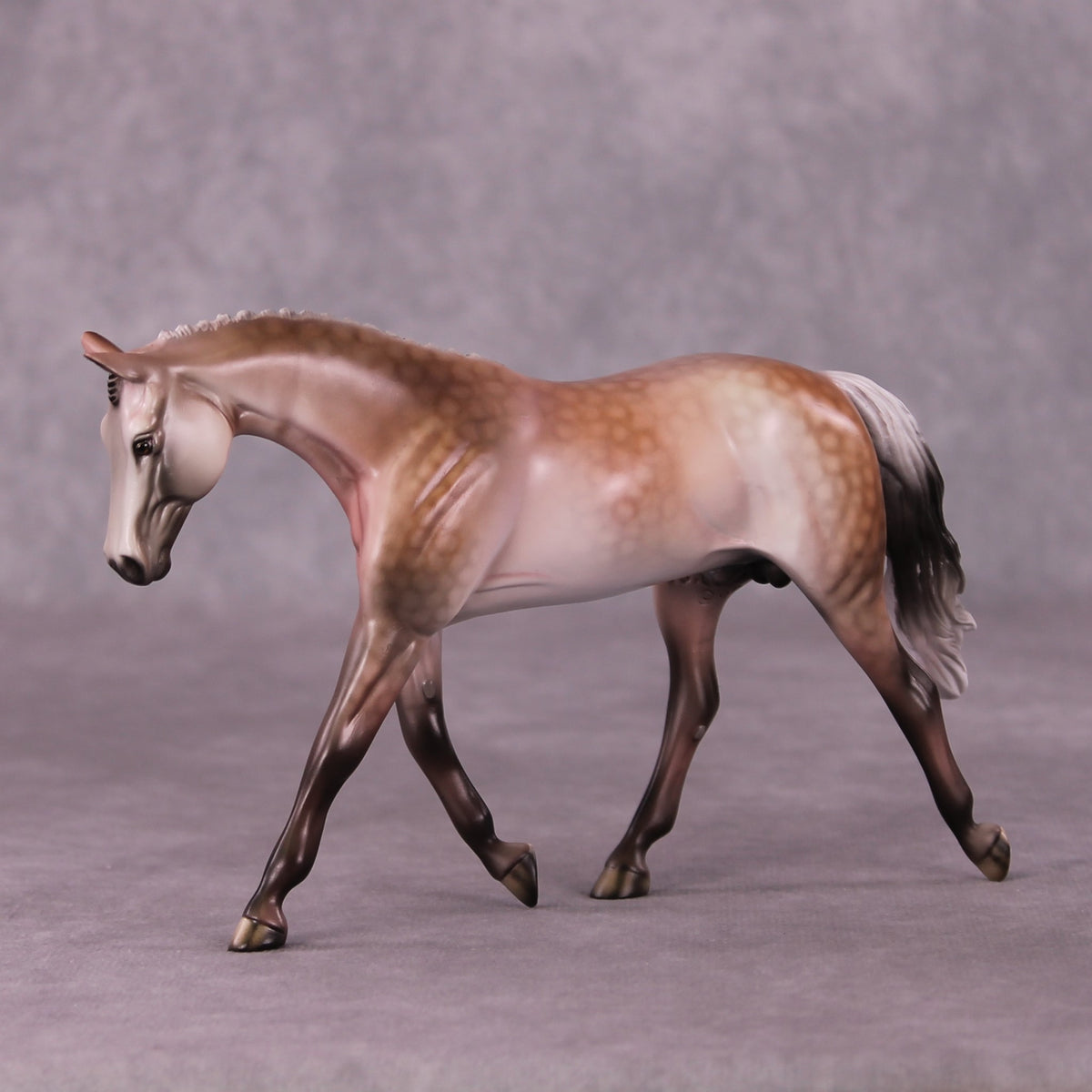 A Rose Is A Rose or Roses In December Pebble Warmblood by Dawn Quick FS25