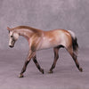&quot;A Rose Is A Rose&quot; or &quot;Roses In December&quot; Pebble Warmblood By Dawn Quick June Flower Series FS25