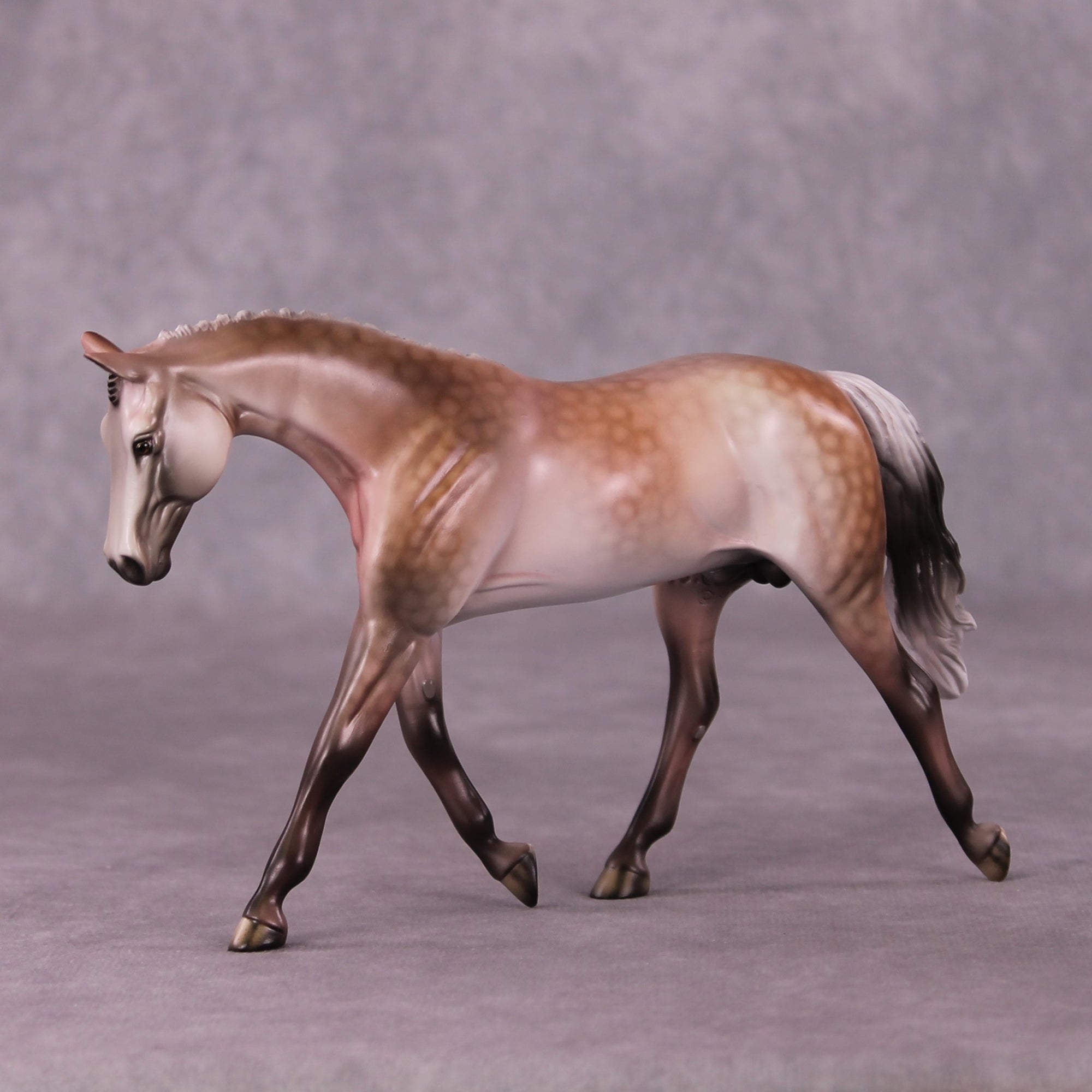 A Rose Is A Rose or Roses In December Pebble Warmblood by Dawn Quick FS25