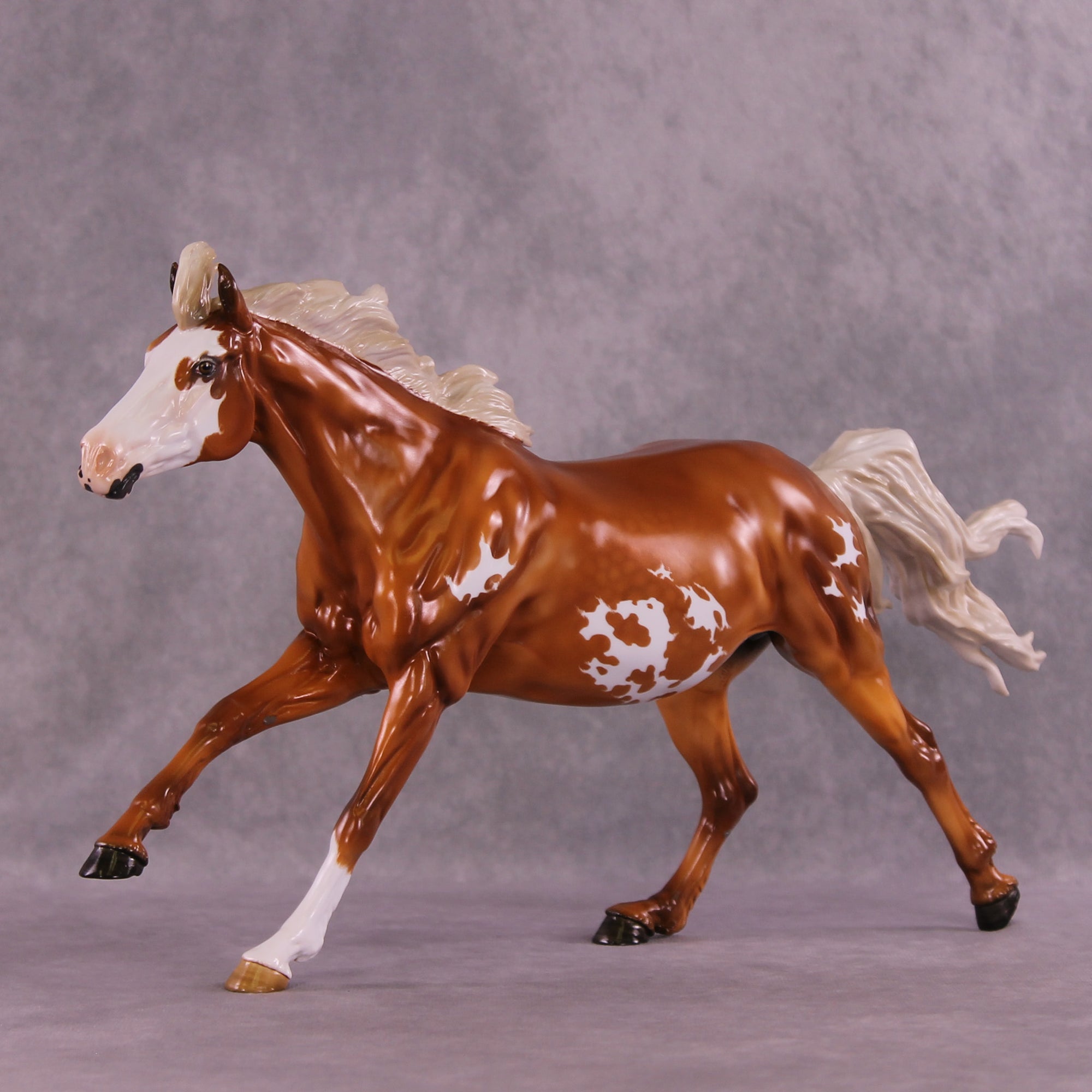 Hamuna FCM Volo by Angela Marleau 11/25/2025 SS1125