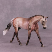 A Rose Is A Rose or Roses In December Pebble Warmblood by Dawn Quick FS25