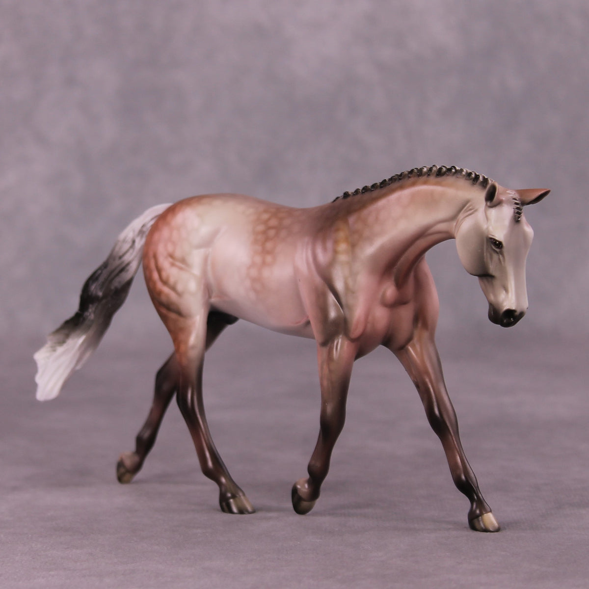 A Rose Is A Rose or Roses In December Pebble Warmblood by Dawn Quick FS25