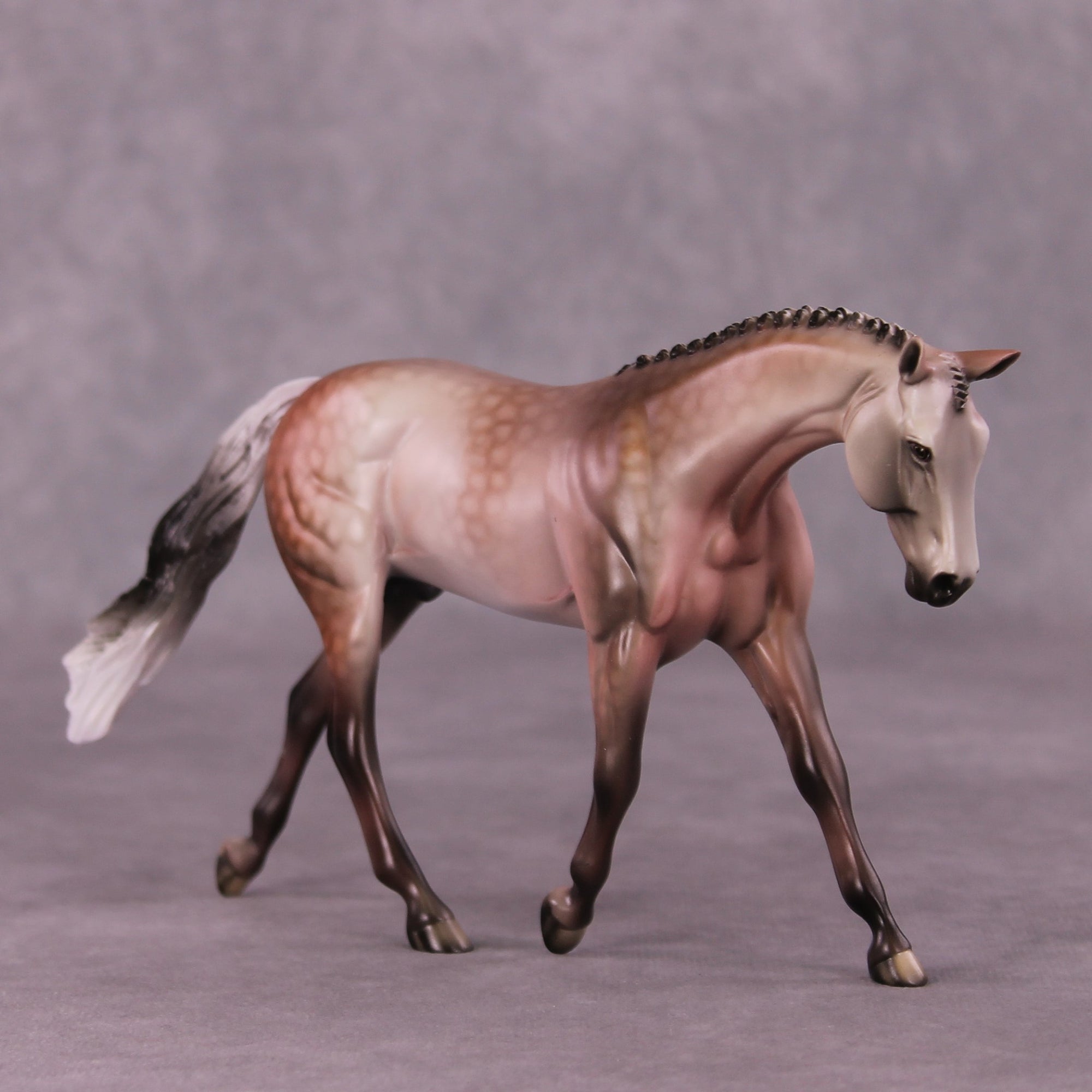 A Rose Is A Rose or Roses In December Pebble Warmblood by Dawn Quick FS25