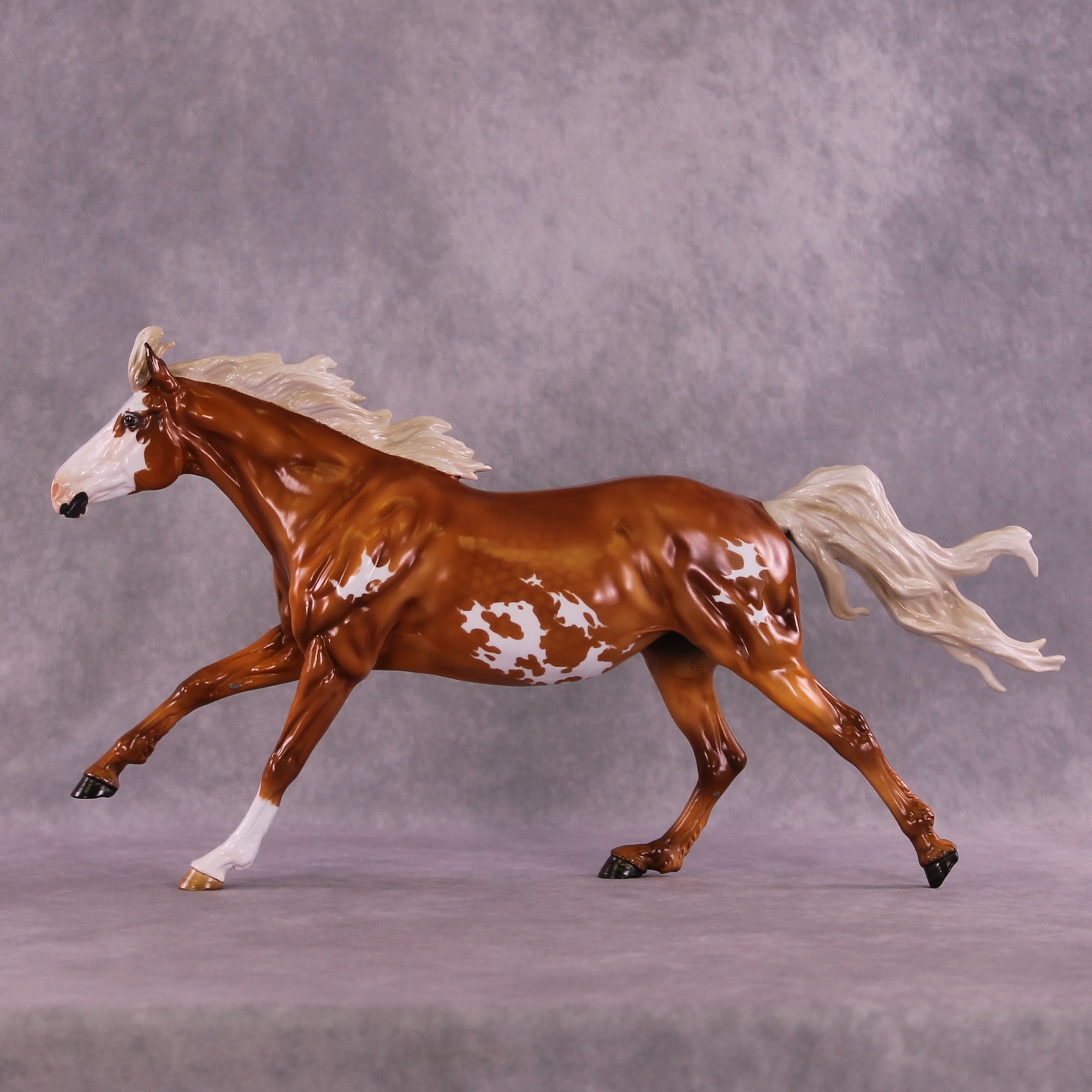 Hamuna FCM Volo by Angela Marleau 11/25/2025 SS1125