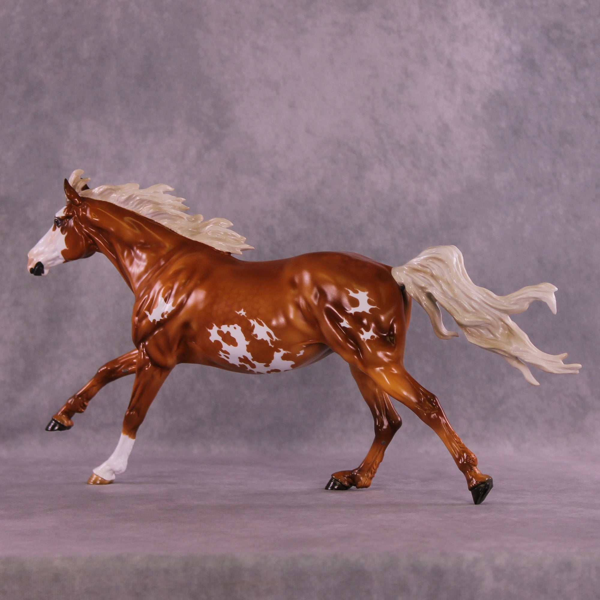 Hamuna FCM Volo by Angela Marleau 11/25/2025 SS1125