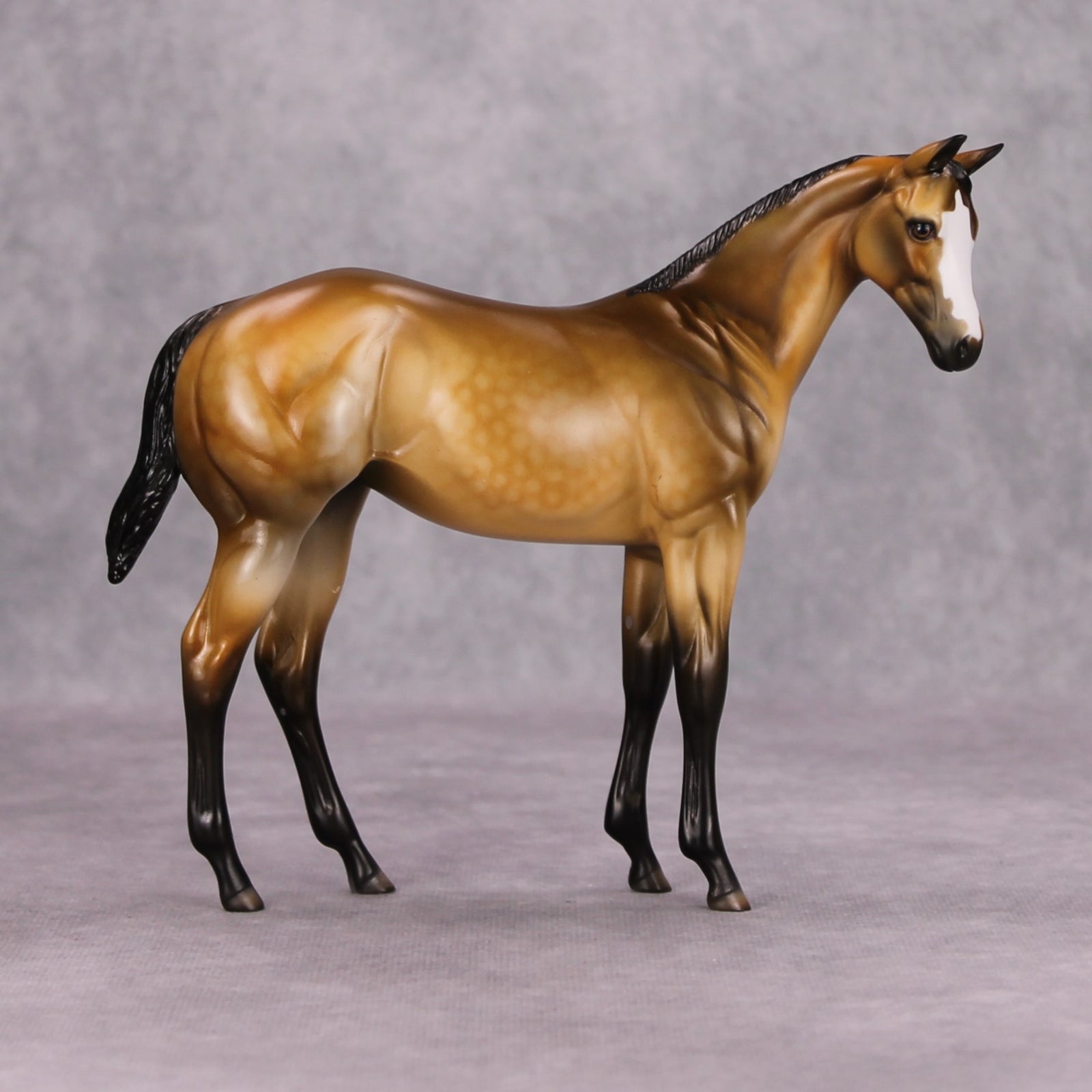 Dun Take A Nap OOAK Dappled Buckskin Weanling By Dawn Quick MM24