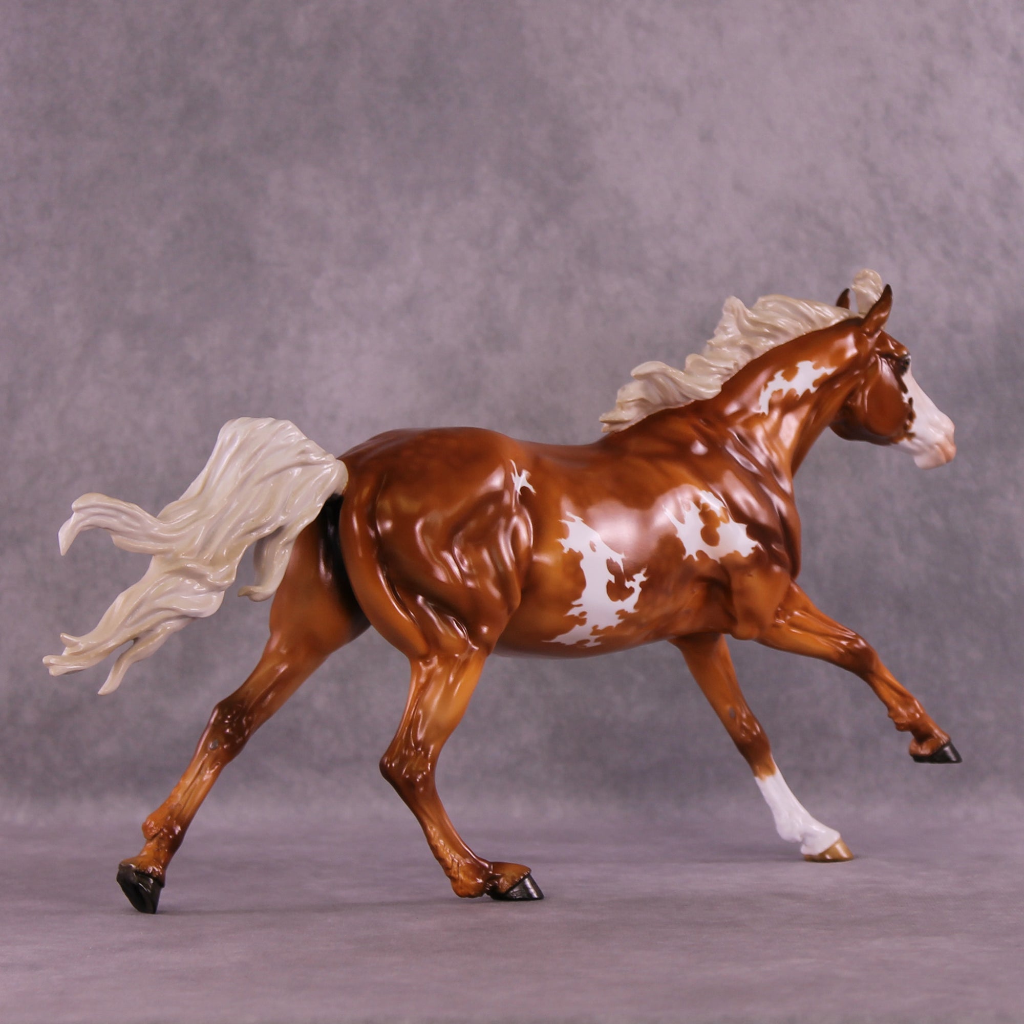 Hamuna FCM Volo by Angela Marleau 11/25/2025 SS1125