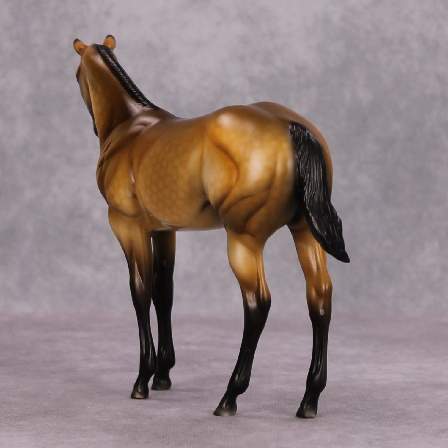 Dun Take A Nap OOAK Dappled Buckskin Weanling By Dawn Quick MM24