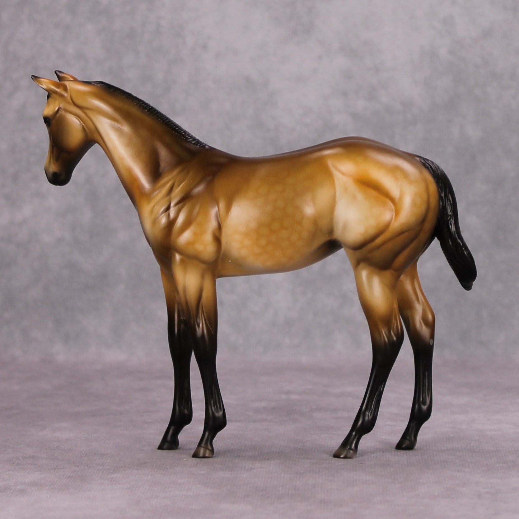 Dun Take A Nap OOAK Dappled Buckskin Weanling By Dawn Quick MM24