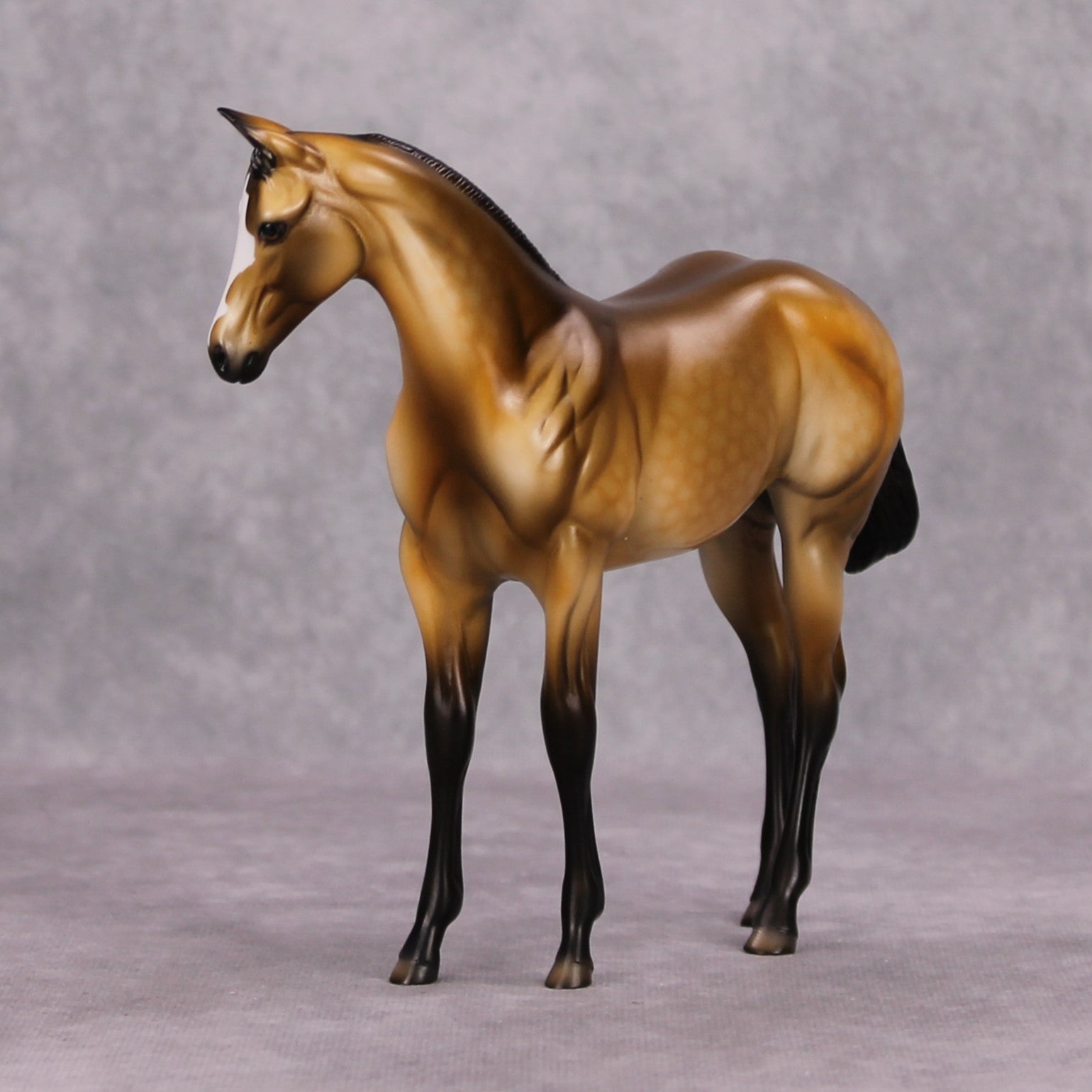 Dun Take A Nap OOAK Dappled Buckskin Weanling By Dawn Quick MM24