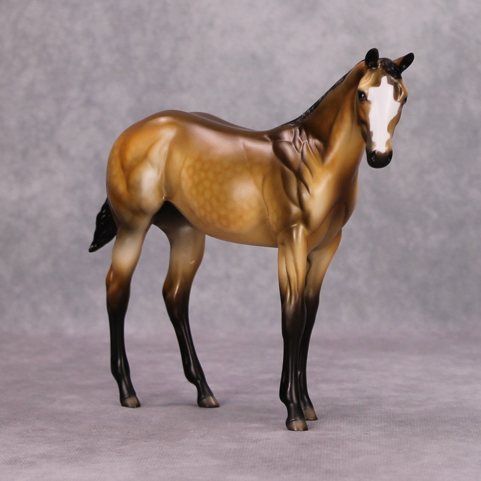 Dun Take A Nap OOAK Dappled Buckskin Weanling By Dawn Quick MM24