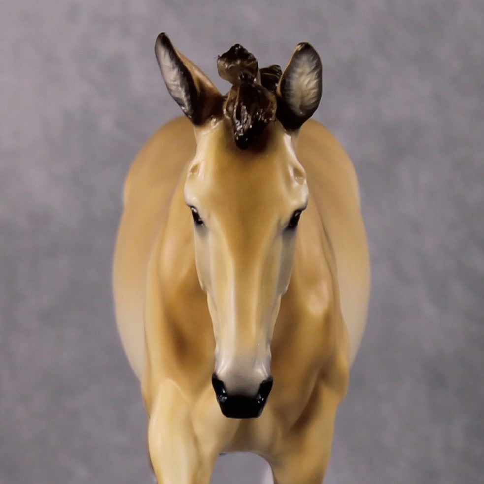 "Workin Purdy Dun" OOAK Custom Golden Dun Pinto Mule By Tiffany Purdy - GemStone Series