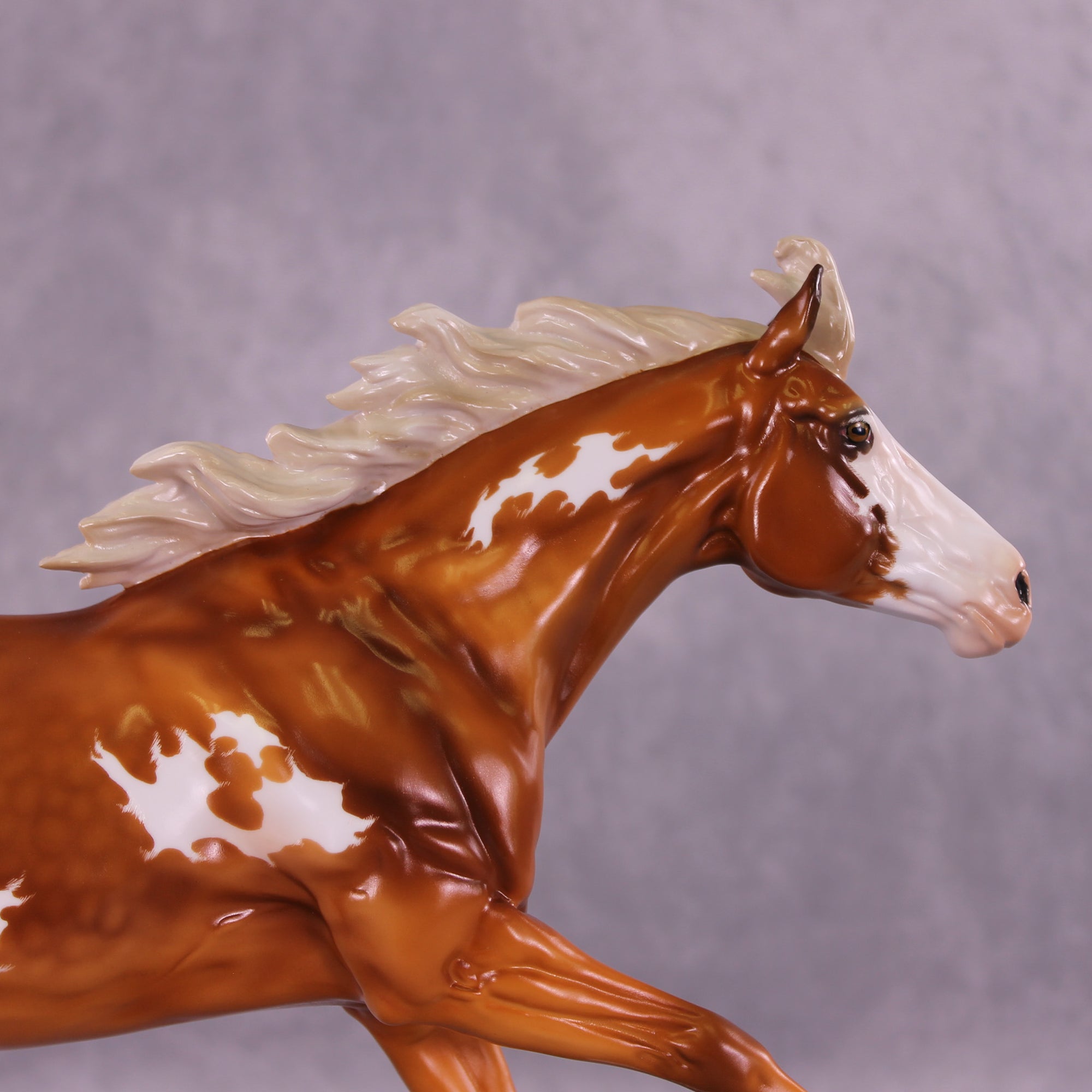 Hamuna FCM Volo by Angela Marleau 11/25/2025 SS1125