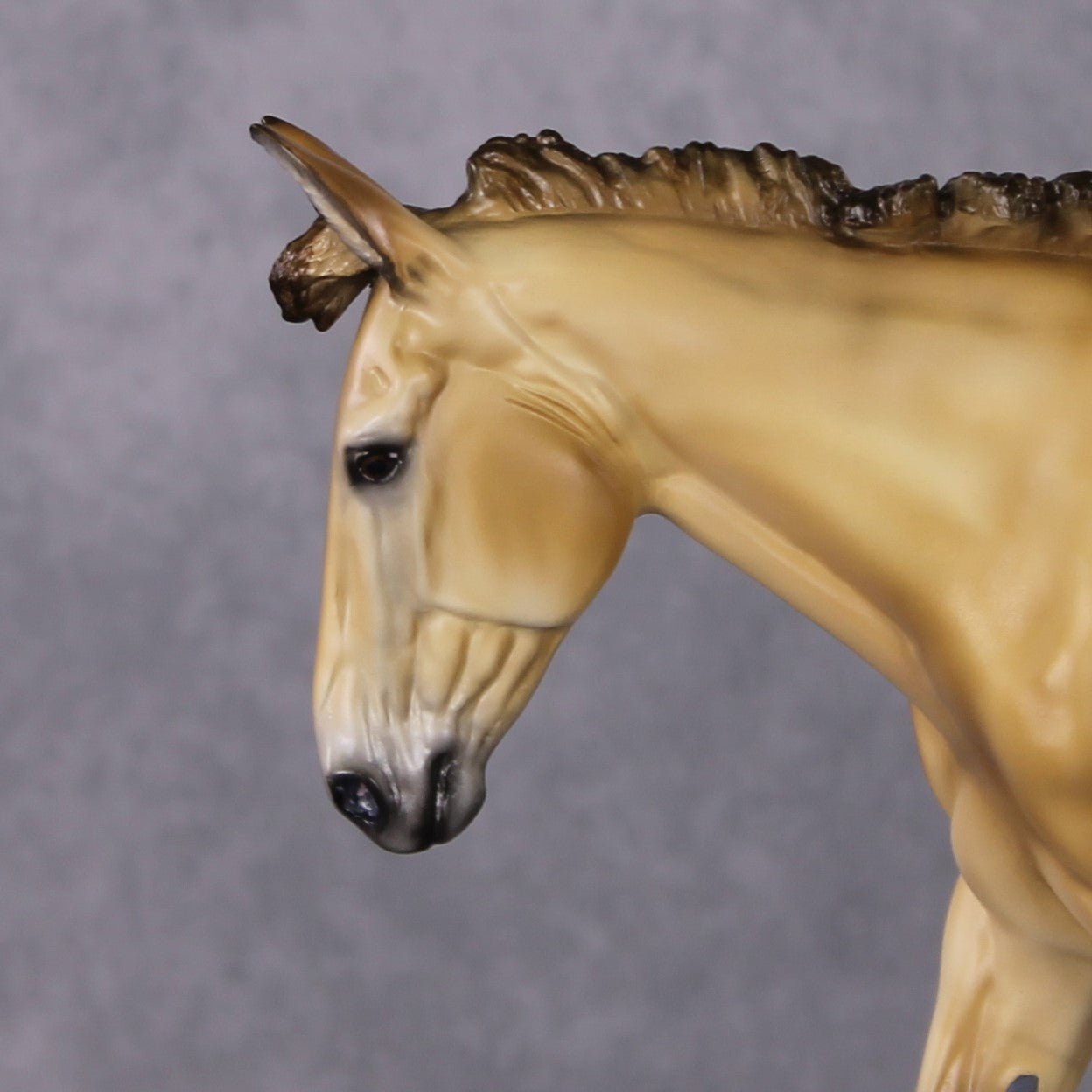 "Workin Purdy Dun" OOAK Custom Golden Dun Pinto Mule By Tiffany Purdy - GemStone Series