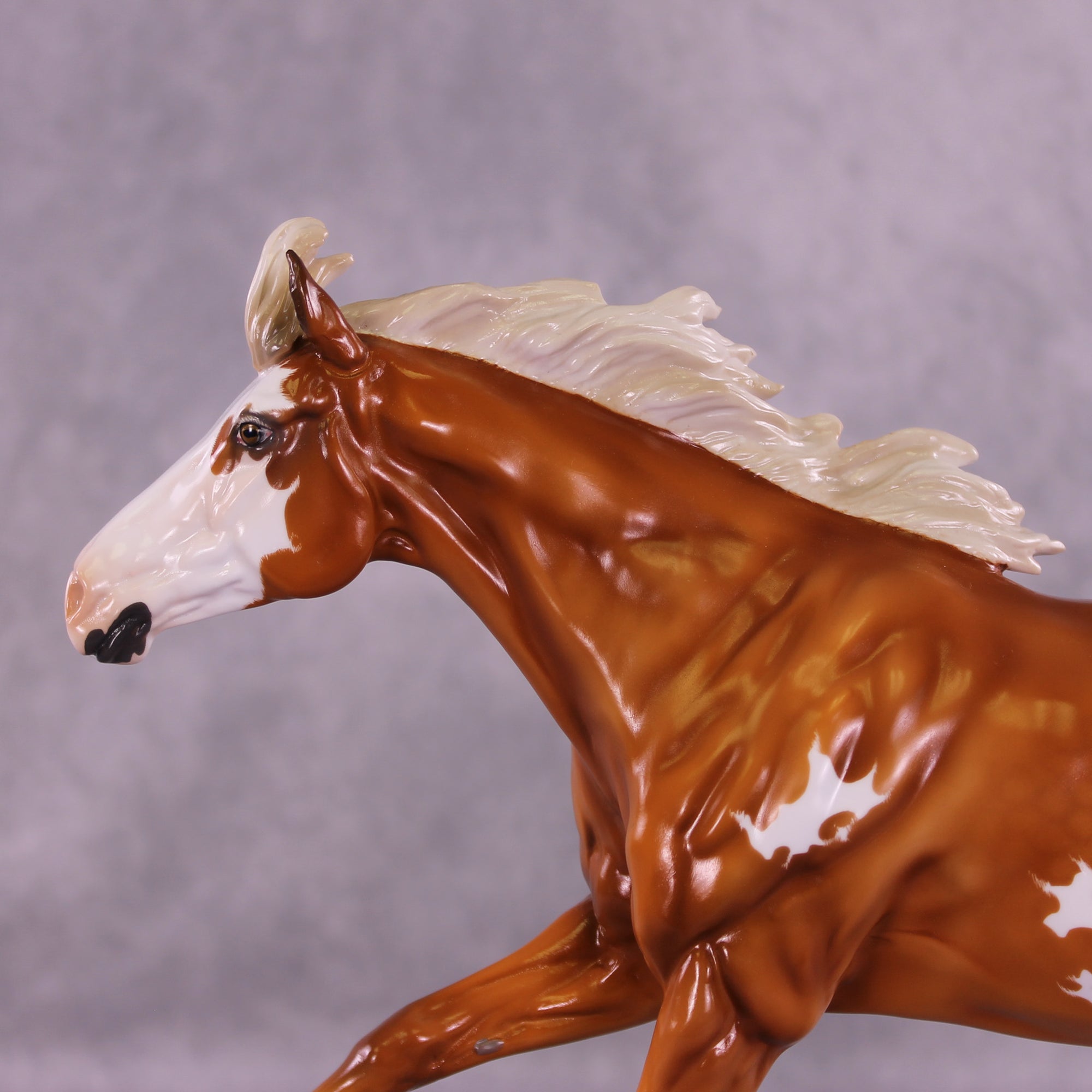 Hamuna FCM Volo by Angela Marleau 11/25/2025 SS1125