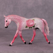 A Rose Is A Rose or Roses In December Pebble Warmblood by Dawn Quick FS25