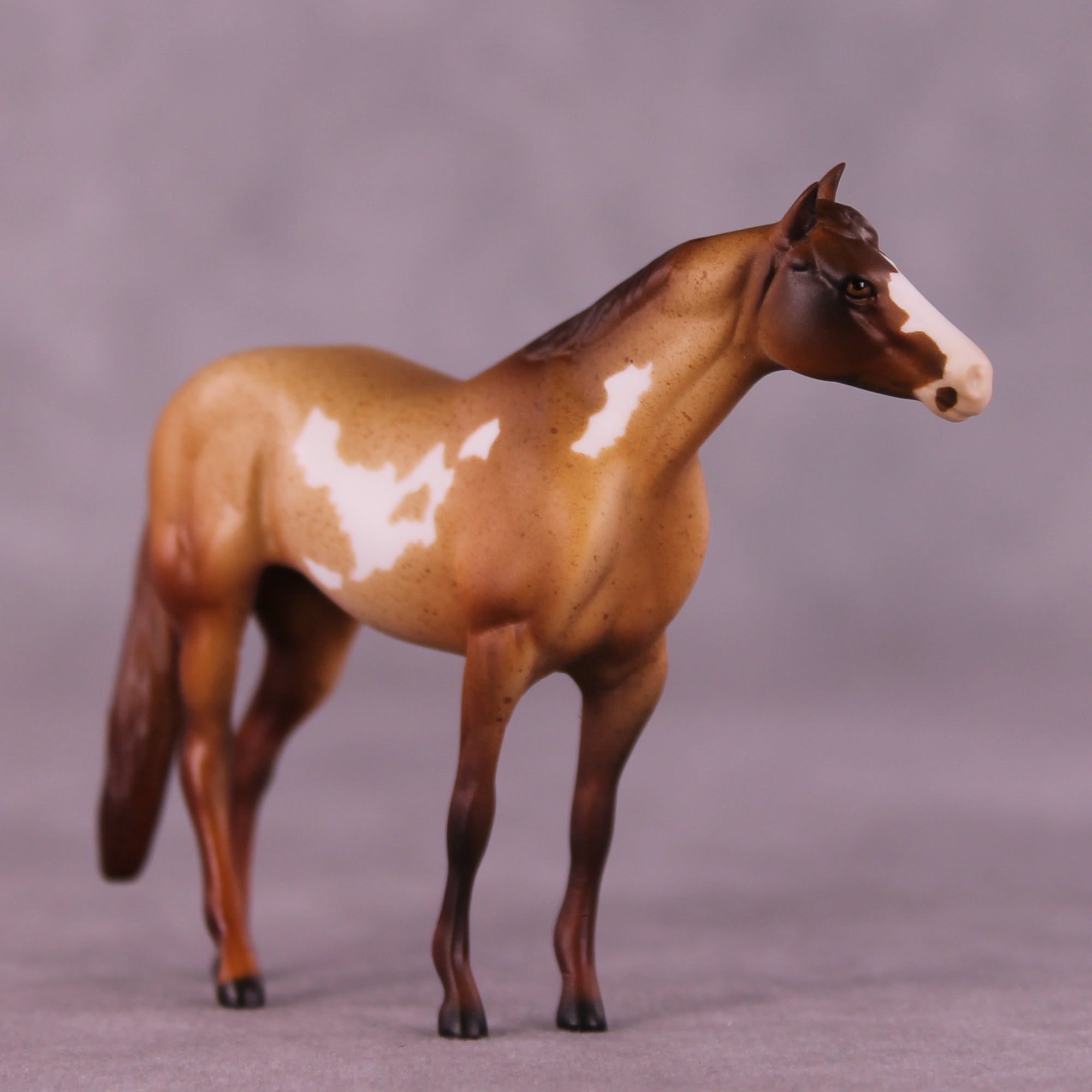 Polk OOAK Chip Stock Horse by Julie Keim Special Chip Drop