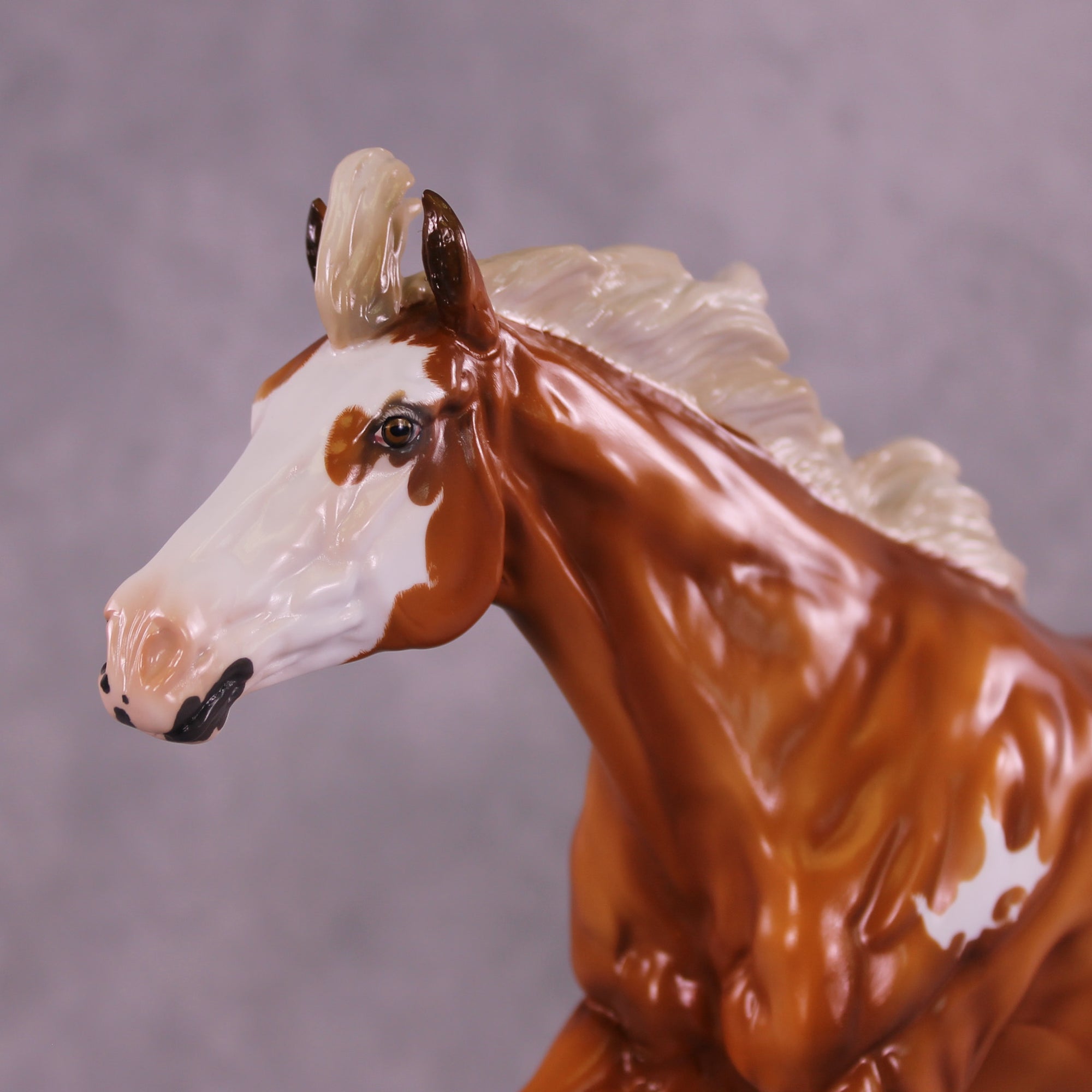 Hamuna FCM Volo by Angela Marleau 11/25/2025 SS1125