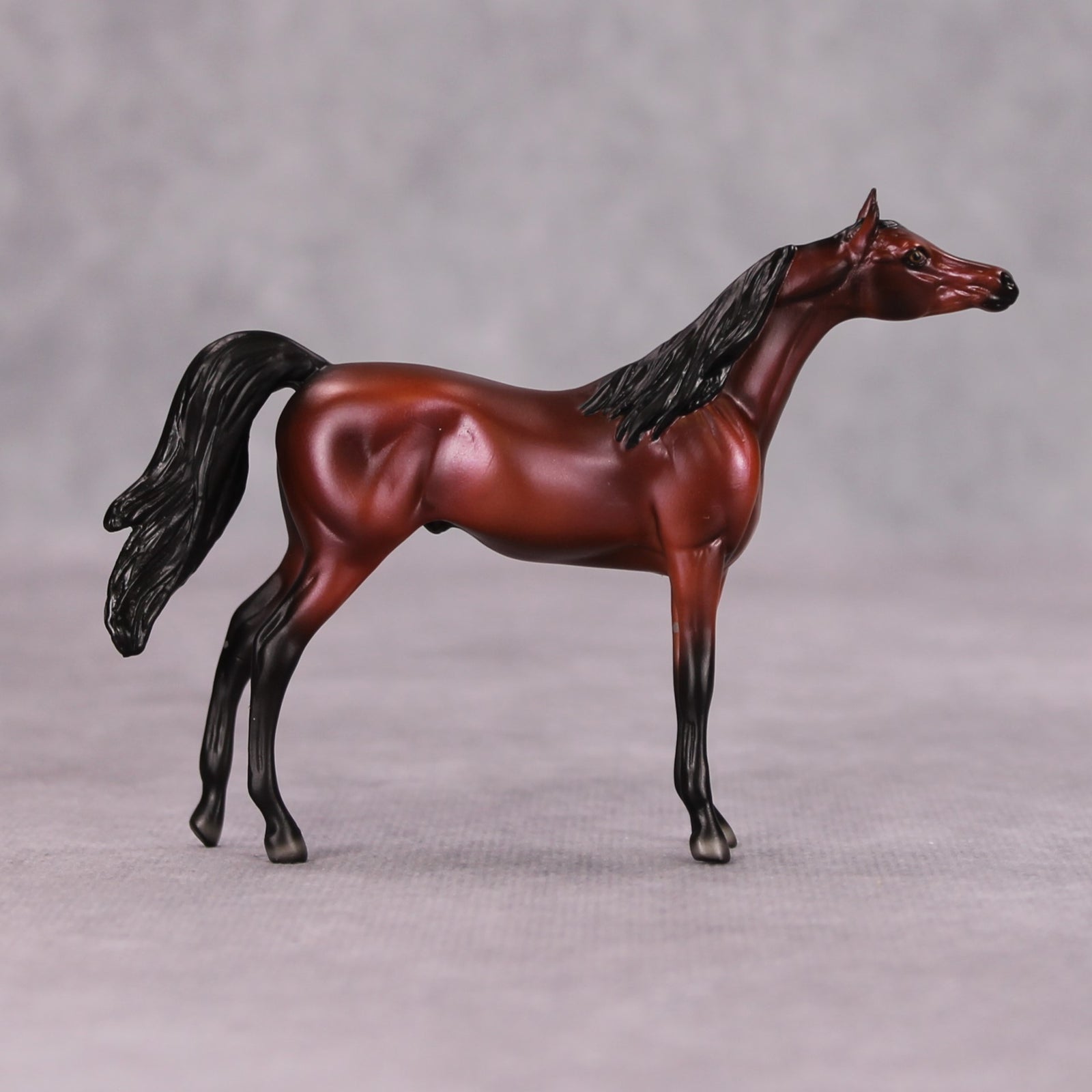 Colten OOAK Bay Arabian Chip By Ellen Robbins MM24
