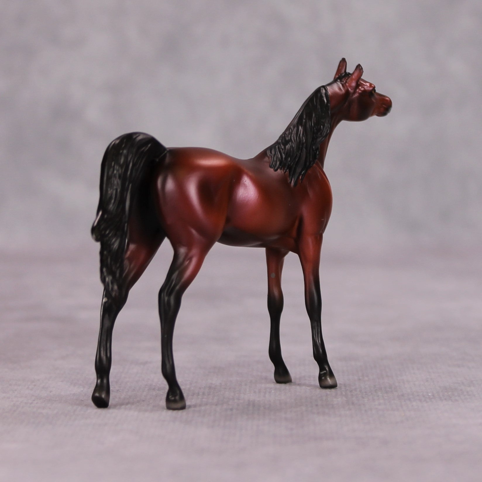 Colten OOAK Bay Arabian Chip By Ellen Robbins MM24