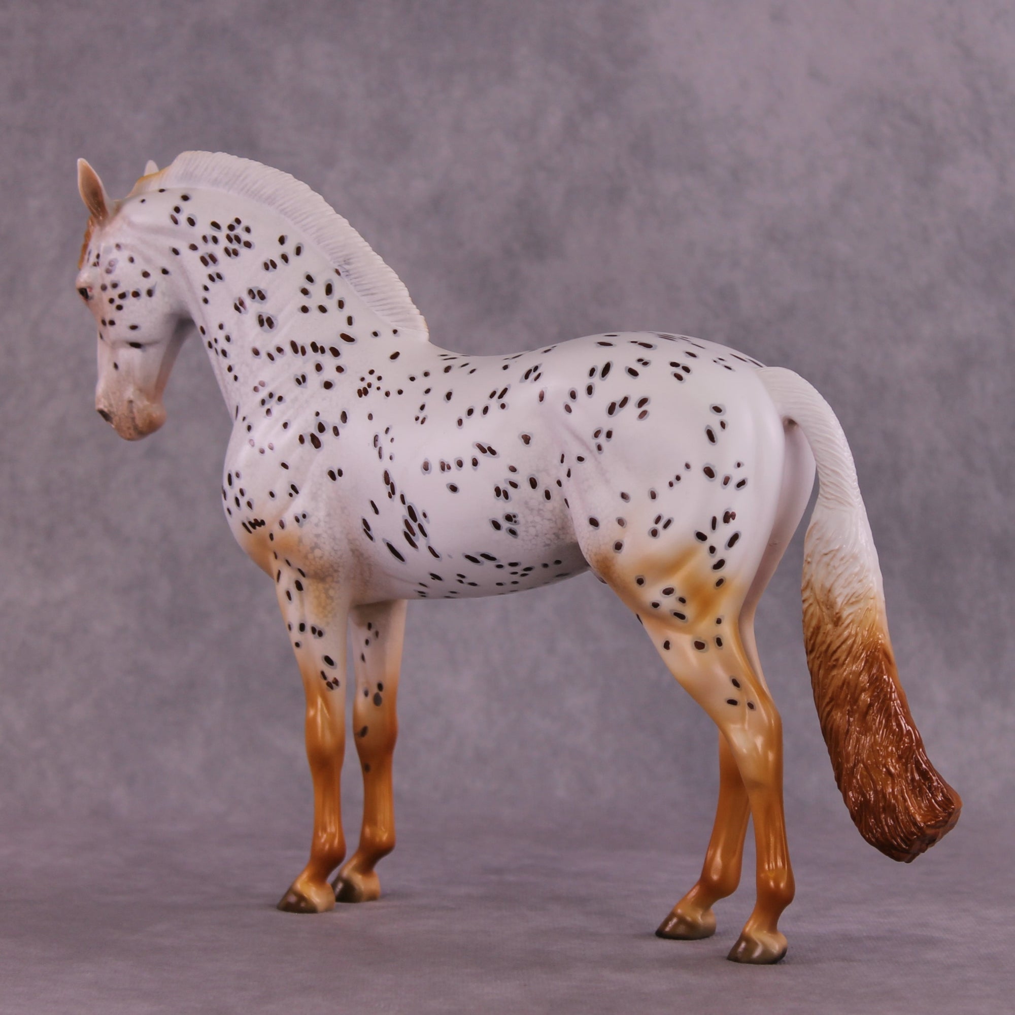 "Achiote" OOAK FCM Andalusian by Julie Keim EQ25