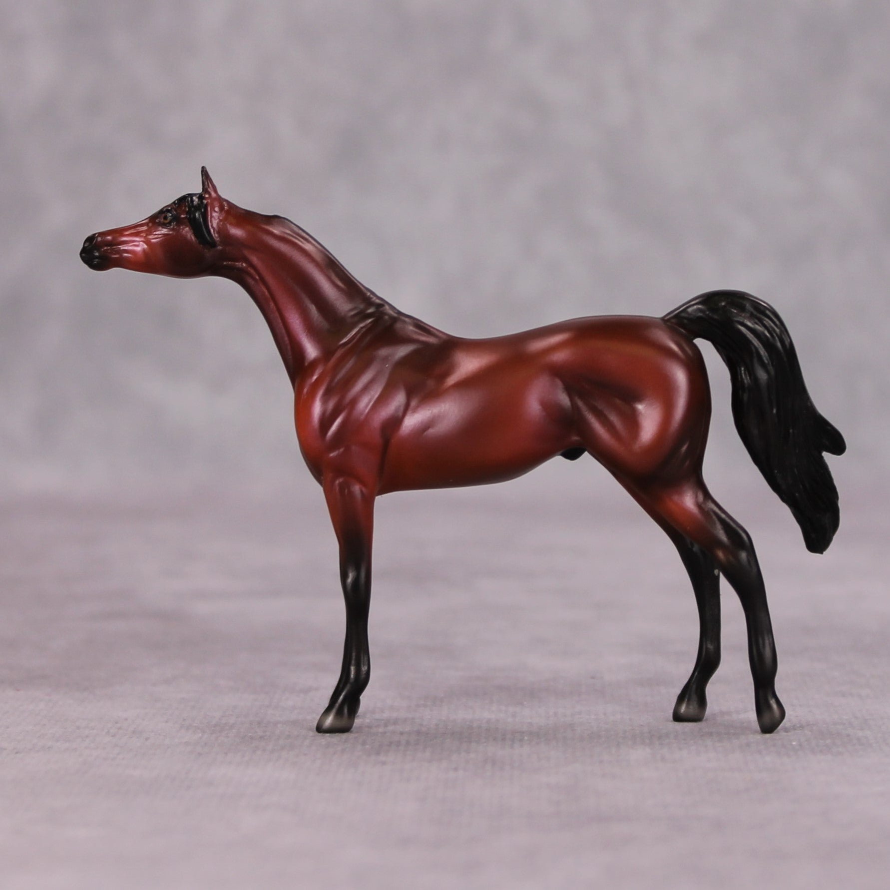 Colten OOAK Bay Arabian Chip By Ellen Robbins MM24