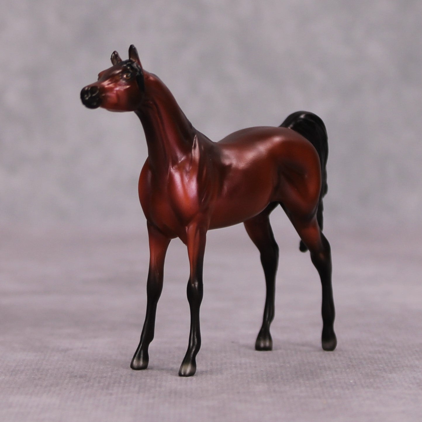 Colten OOAK Bay Arabian Chip By Ellen Robbins MM24