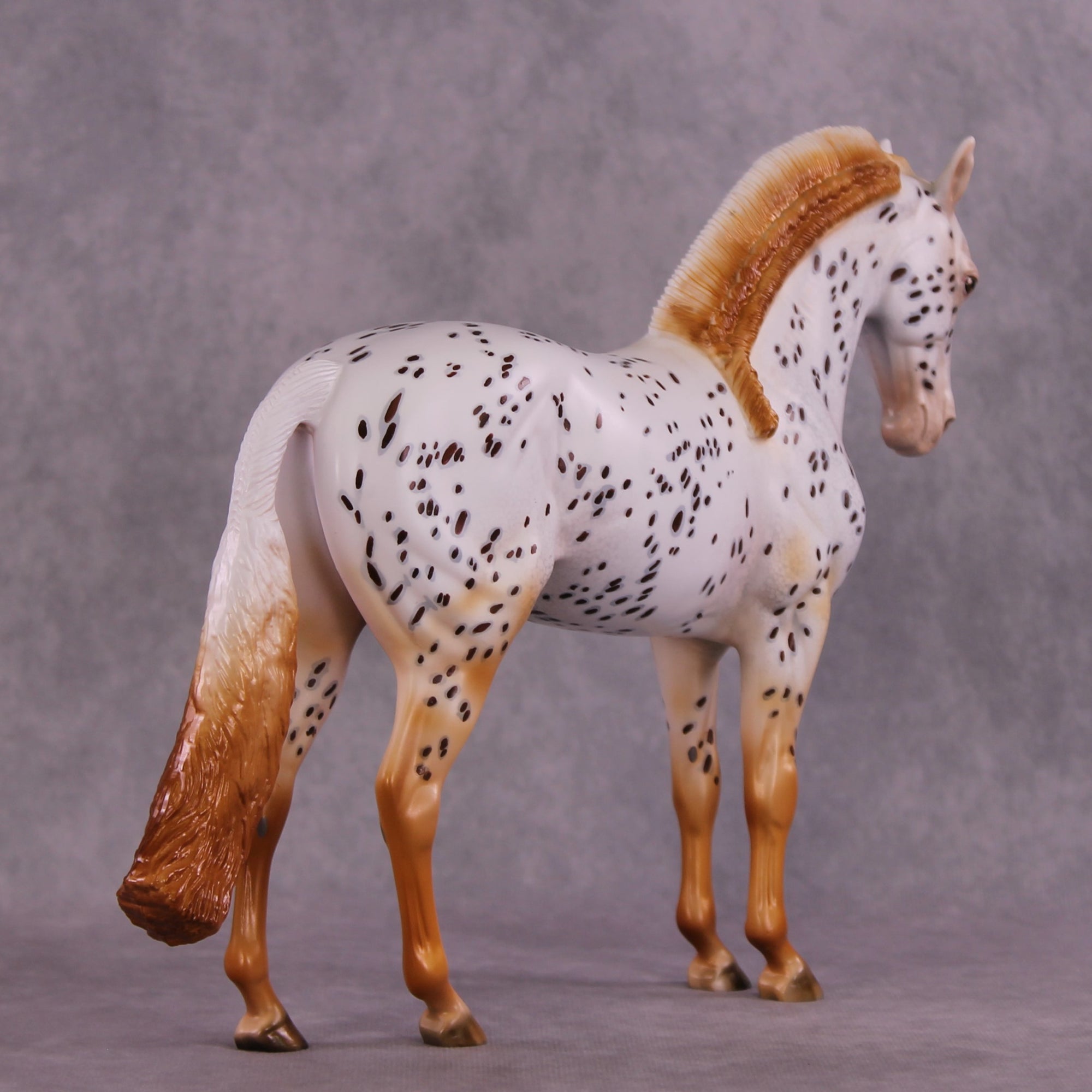 "Achiote" OOAK FCM Andalusian by Julie Keim EQ25
