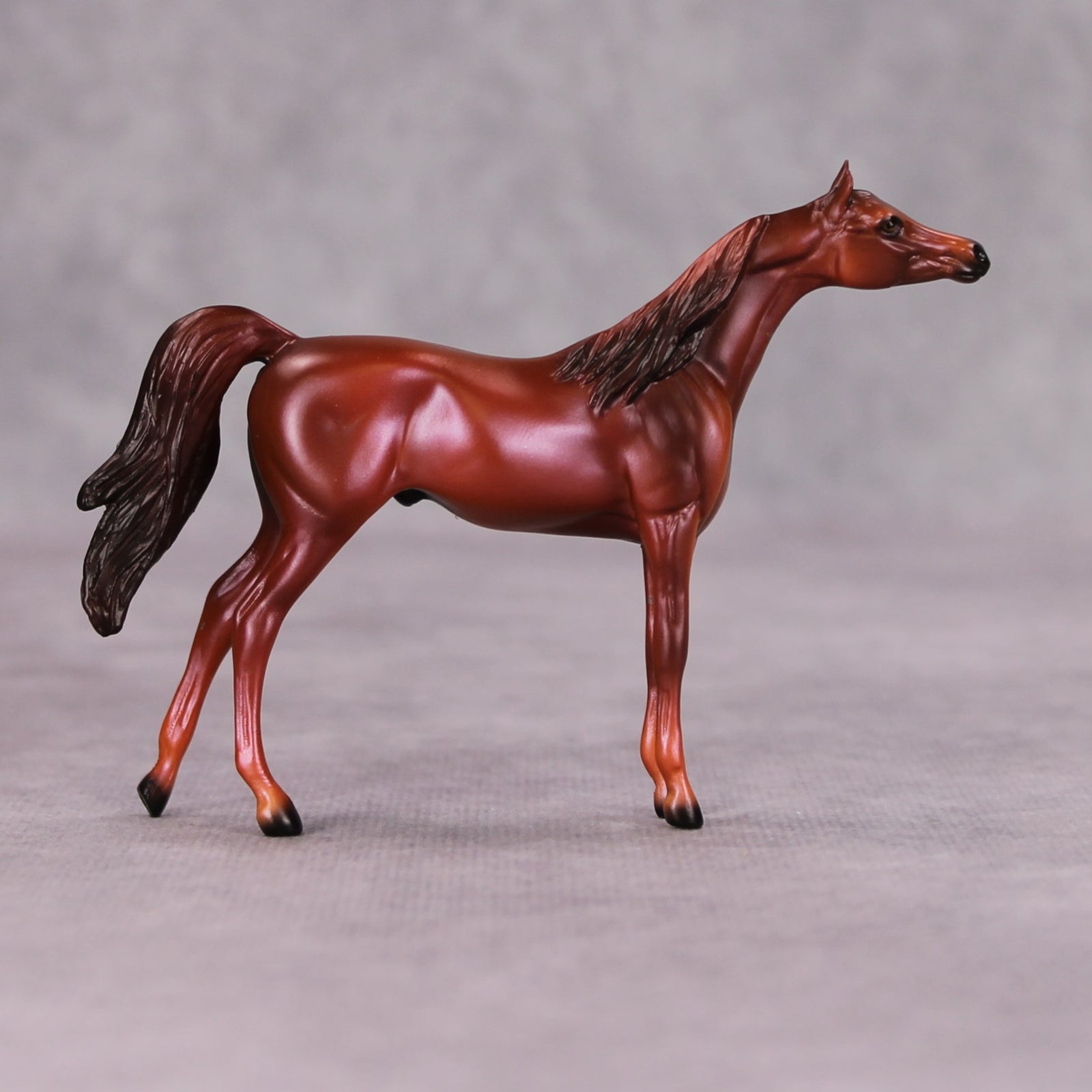 Luke OOAK Chestnut Arabian Chip By Ellen Robbins MM24