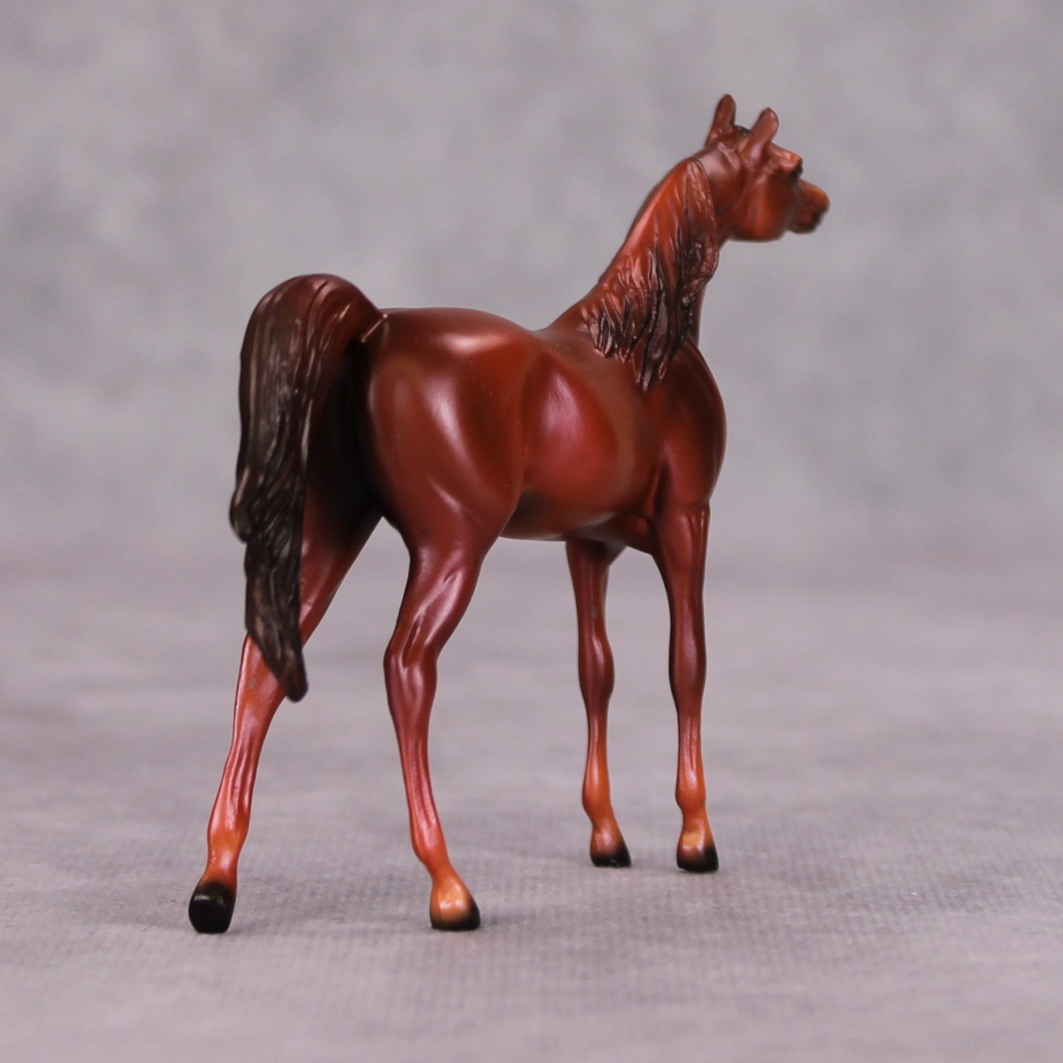 Luke OOAK Chestnut Arabian Chip By Ellen Robbins MM24