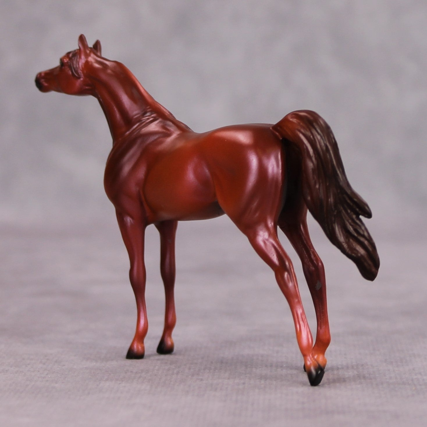 Luke OOAK Chestnut Arabian Chip By Ellen Robbins MM24