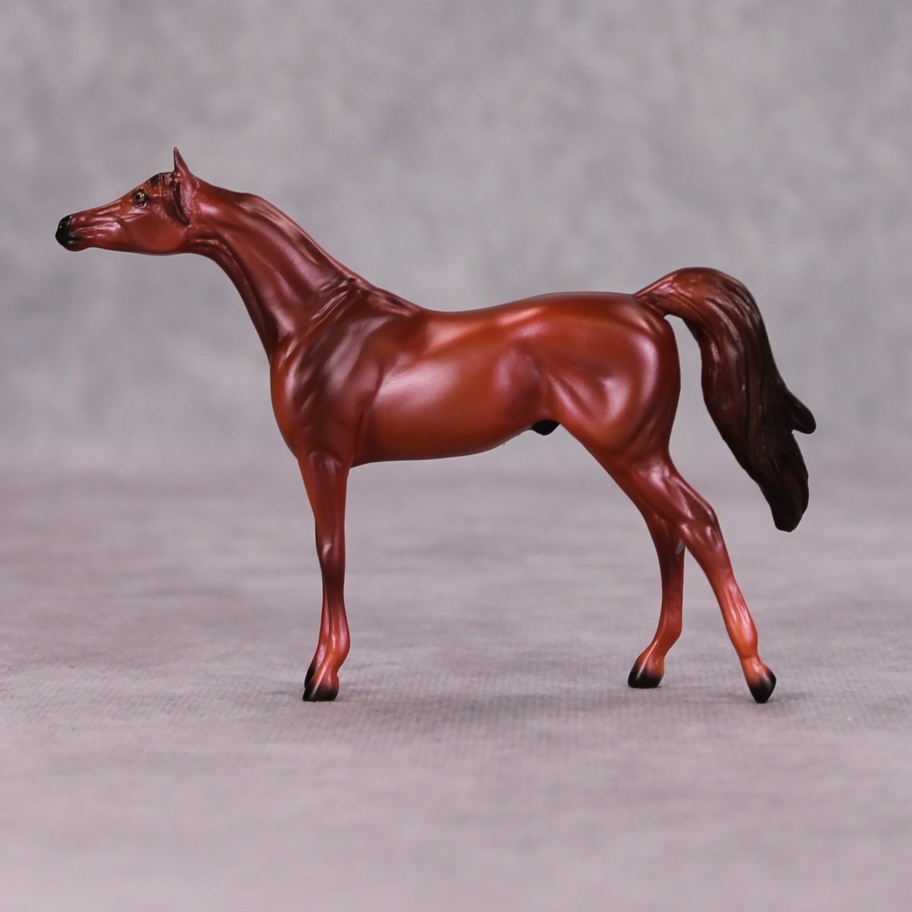 Luke OOAK Chestnut Arabian Chip By Ellen Robbins MM24