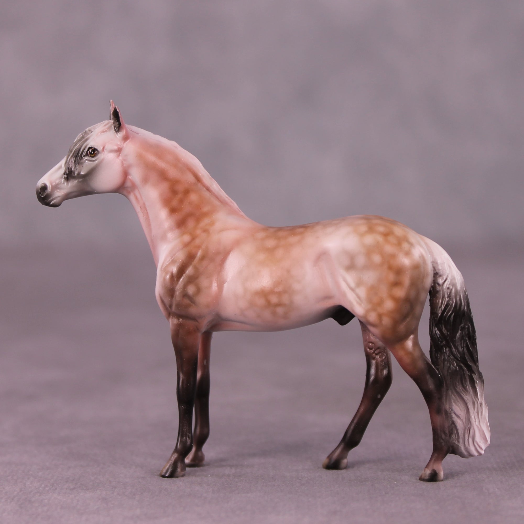 SAMPLE Moses Supposes Chip Andalusian by Dawn Quick 11/25/2025 SS1125