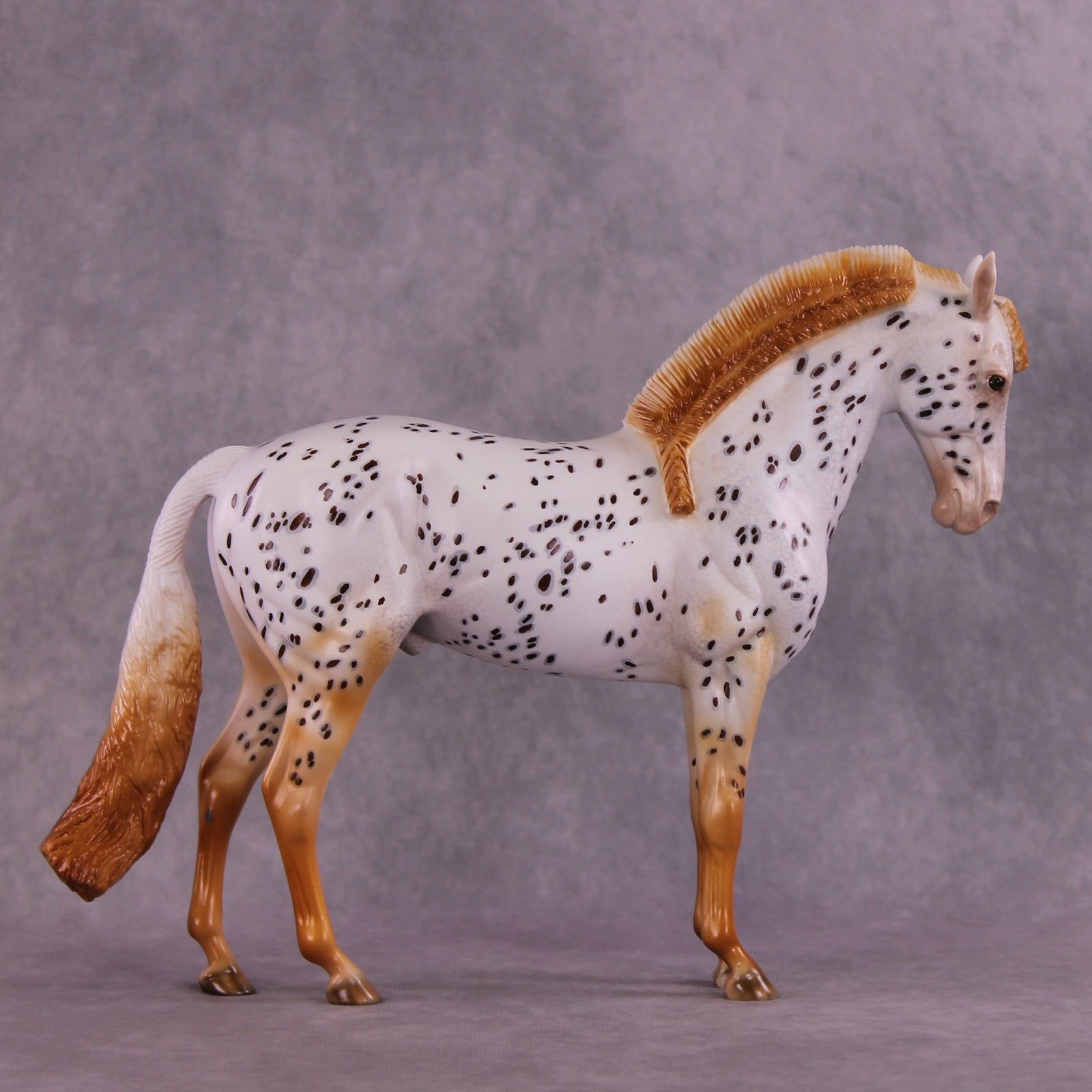 "Achiote" OOAK FCM Andalusian by Julie Keim EQ25