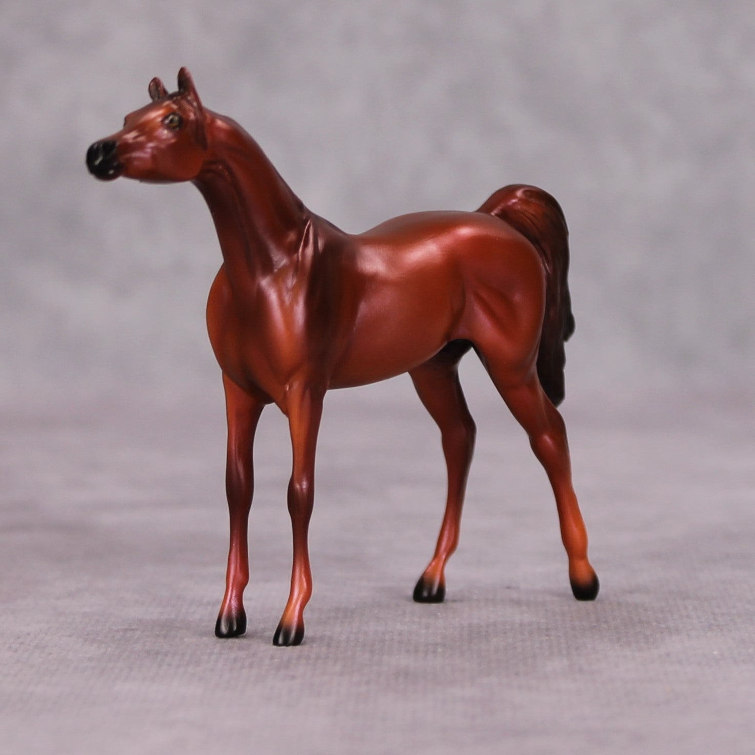 Luke OOAK Chestnut Arabian Chip By Ellen Robbins MM24