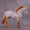 &quot;Achiote&quot; OOAK FCM Andalusian by Julie Keim EQ25