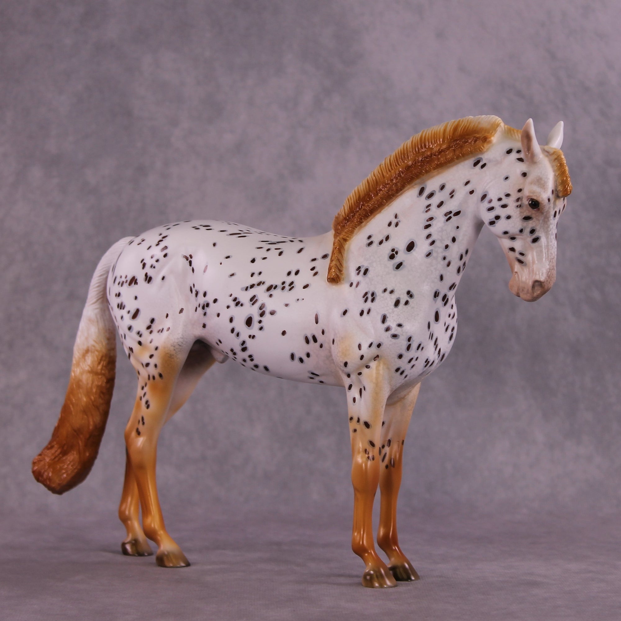 "Achiote" OOAK FCM Andalusian by Julie Keim EQ25