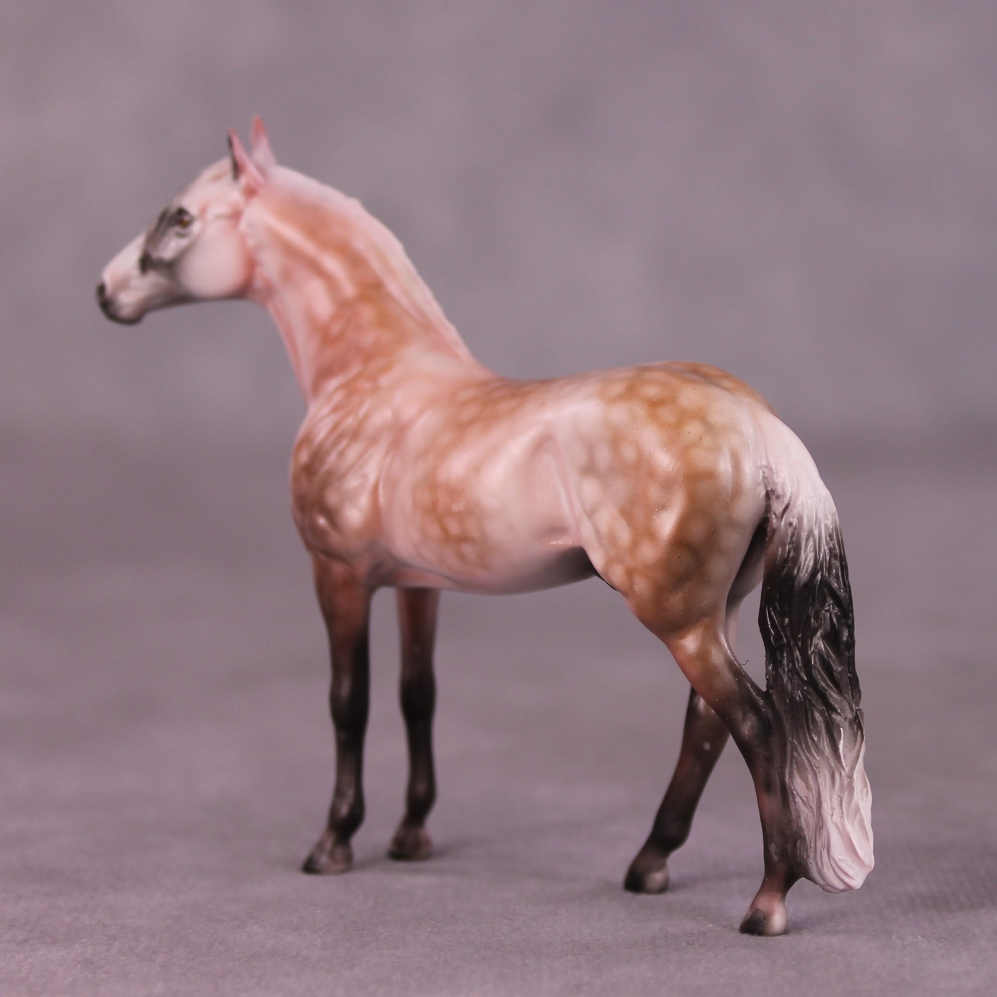 SAMPLE Moses Supposes Chip Andalusian by Dawn Quick 11/25/2025 SS1125