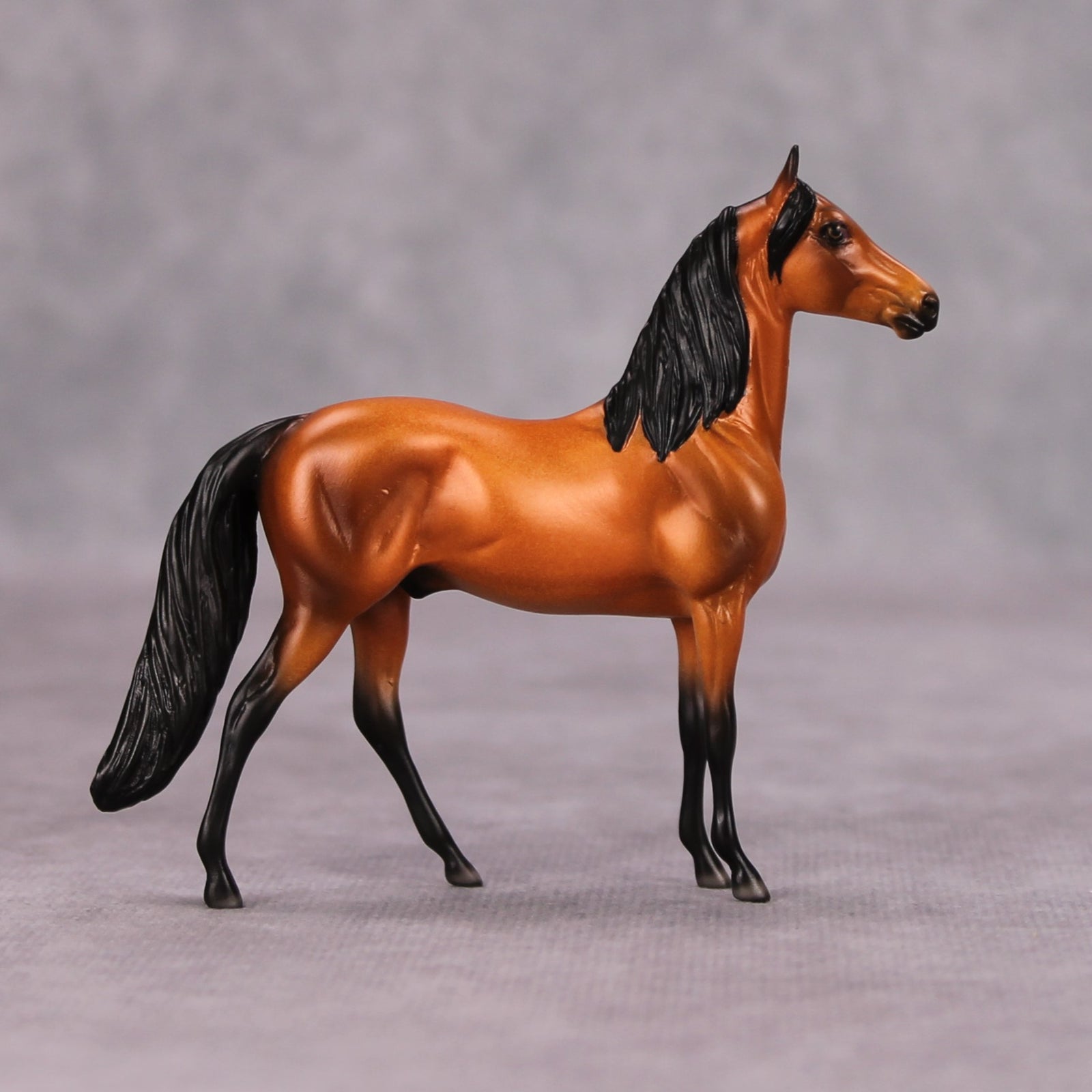 Shining OOAK Bright Bay Morgan Chip By Ellen Robbins MM24