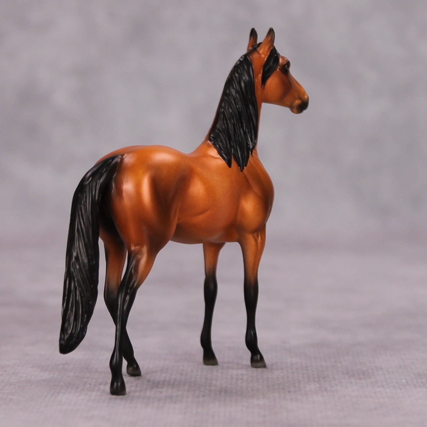 Shining OOAK Bright Bay Morgan Chip By Ellen Robbins MM24