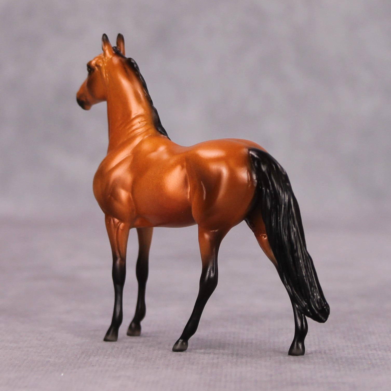 Shining OOAK Bright Bay Morgan Chip By Ellen Robbins MM24