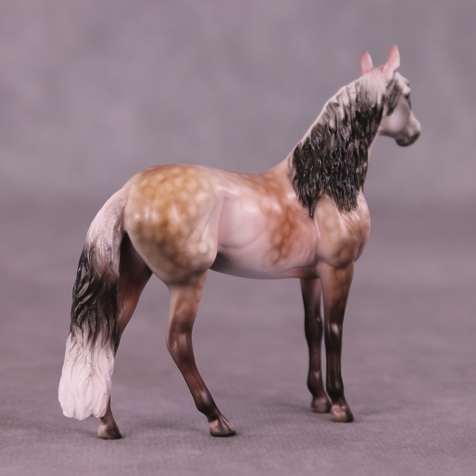 SAMPLE Moses Supposes Chip Andalusian by Dawn Quick 11/25/2025 SS1125