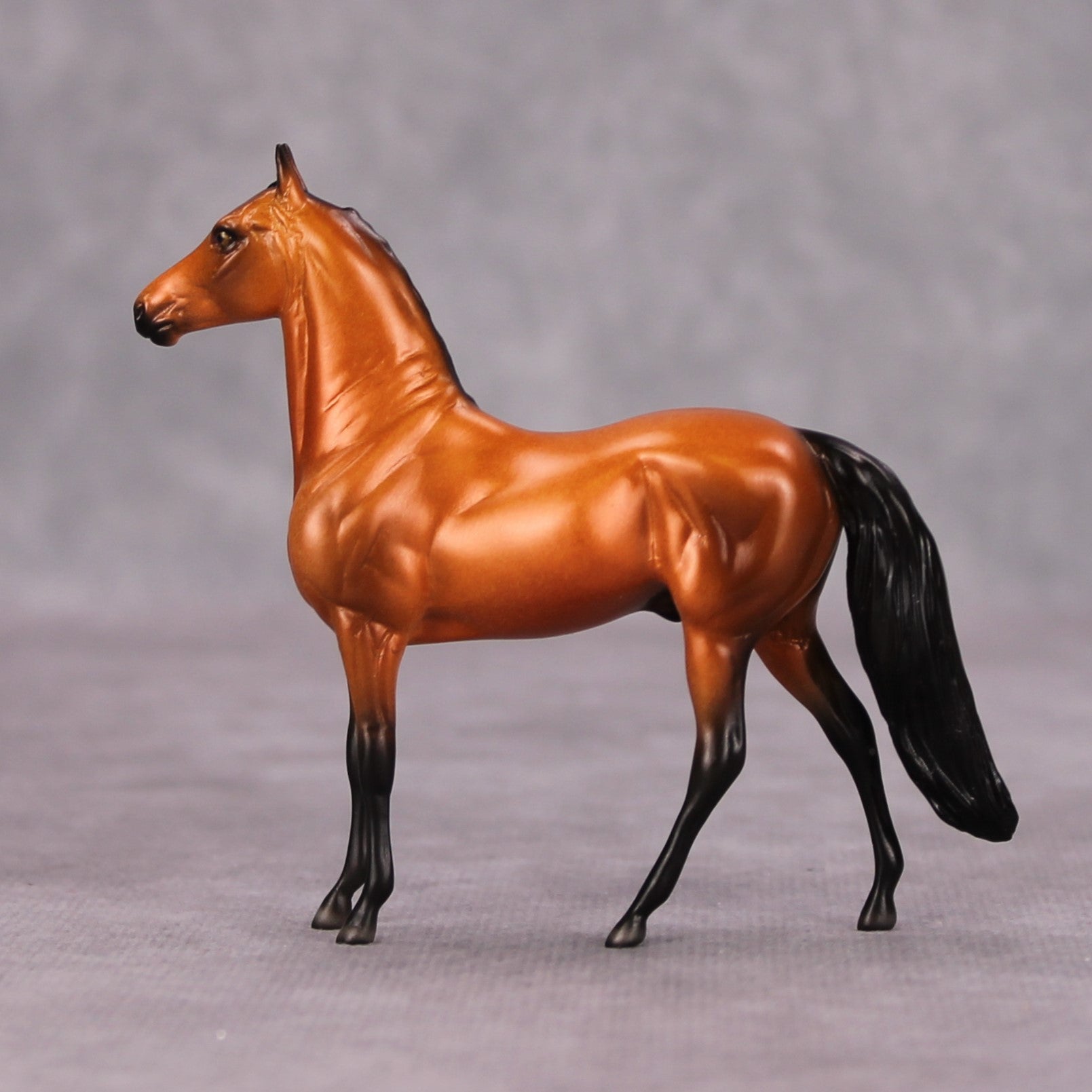 Shining OOAK Bright Bay Morgan Chip By Ellen Robbins MM24