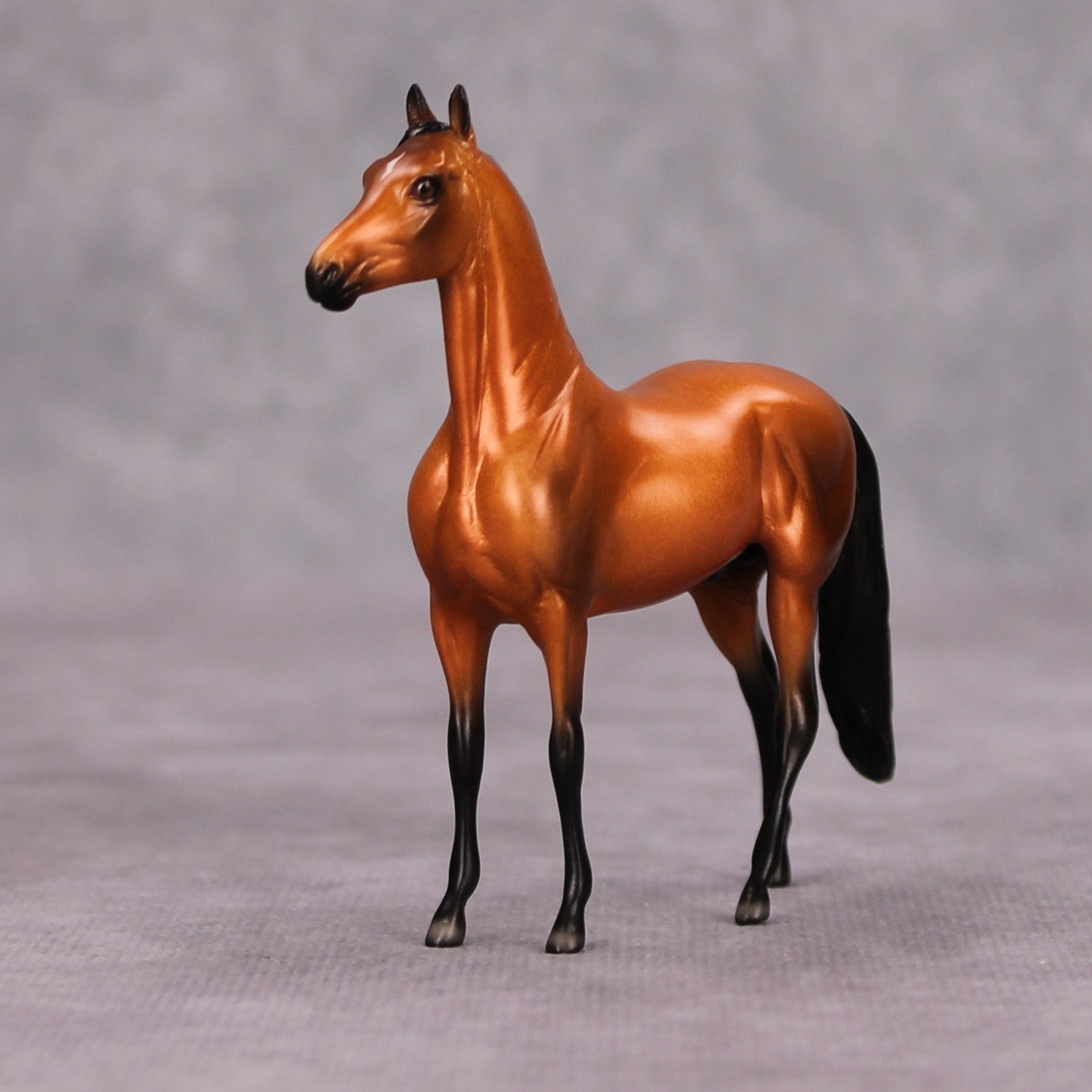 Shining OOAK Bright Bay Morgan Chip By Ellen Robbins MM24