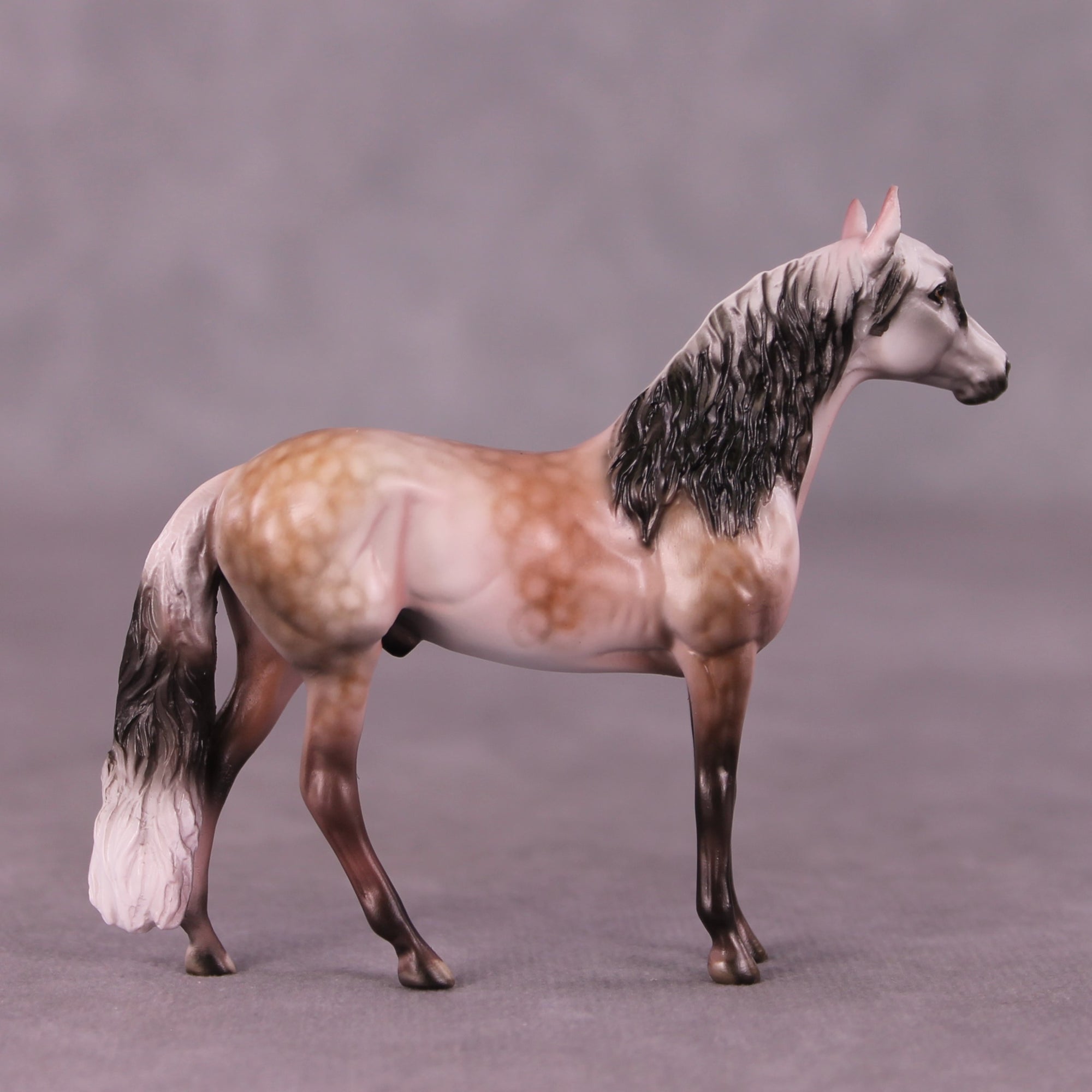 SAMPLE Moses Supposes Chip Andalusian by Dawn Quick 11/25/2025 SS1125