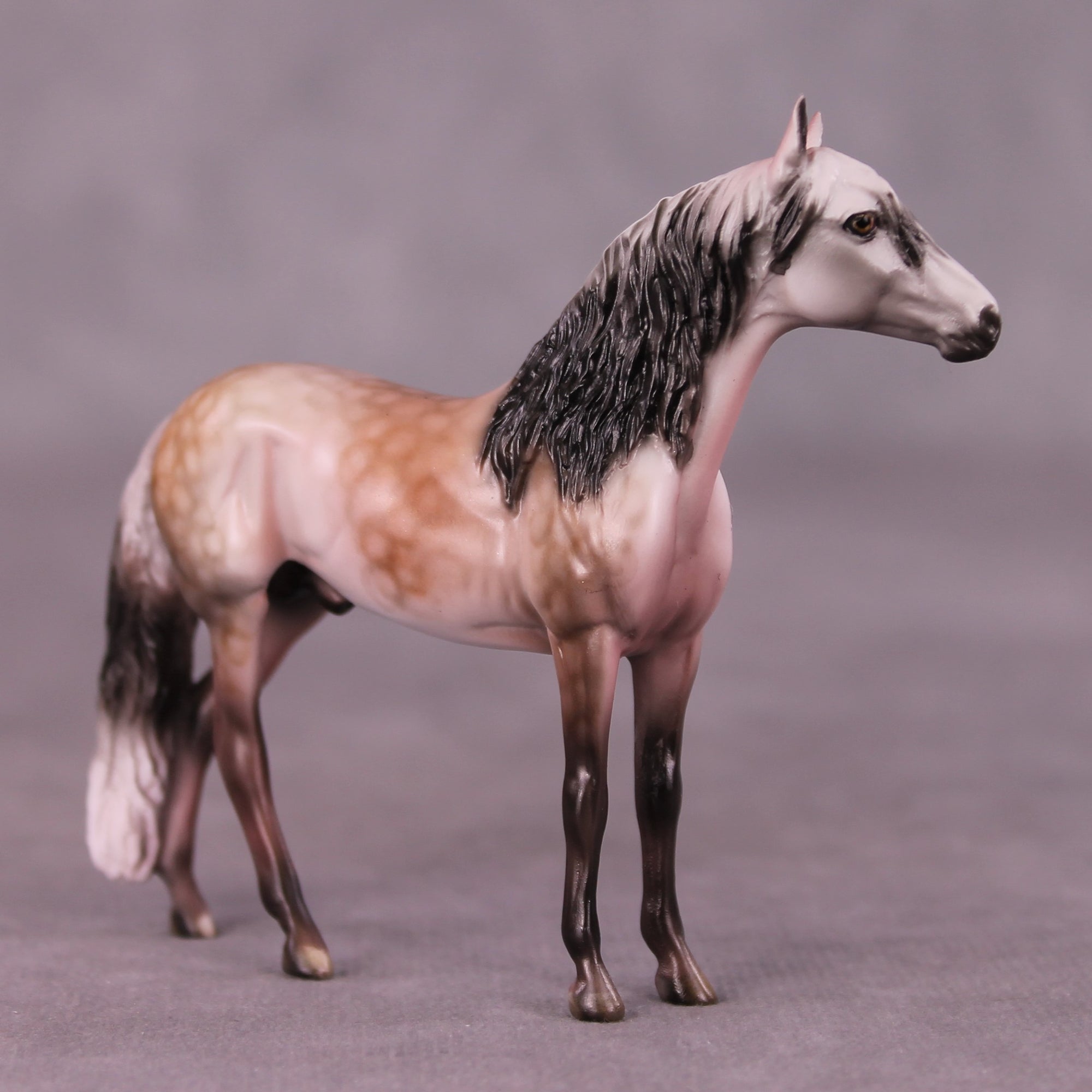 SAMPLE Moses Supposes Chip Andalusian by Dawn Quick 11/25/2025 SS1125