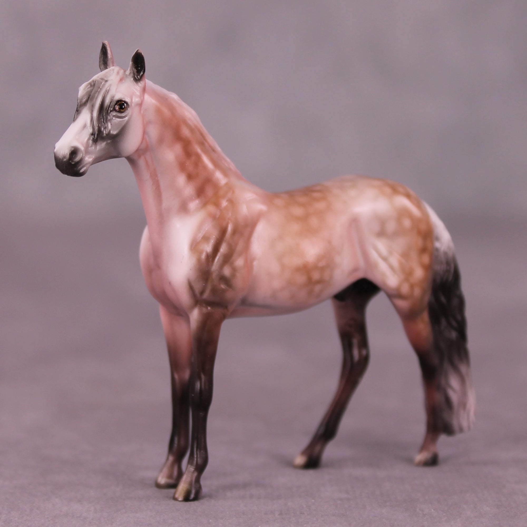 Rosita LE-3 or Moses Supposes LE-10 Andalusian Chip By Dawn Quick June Flower Series FS25