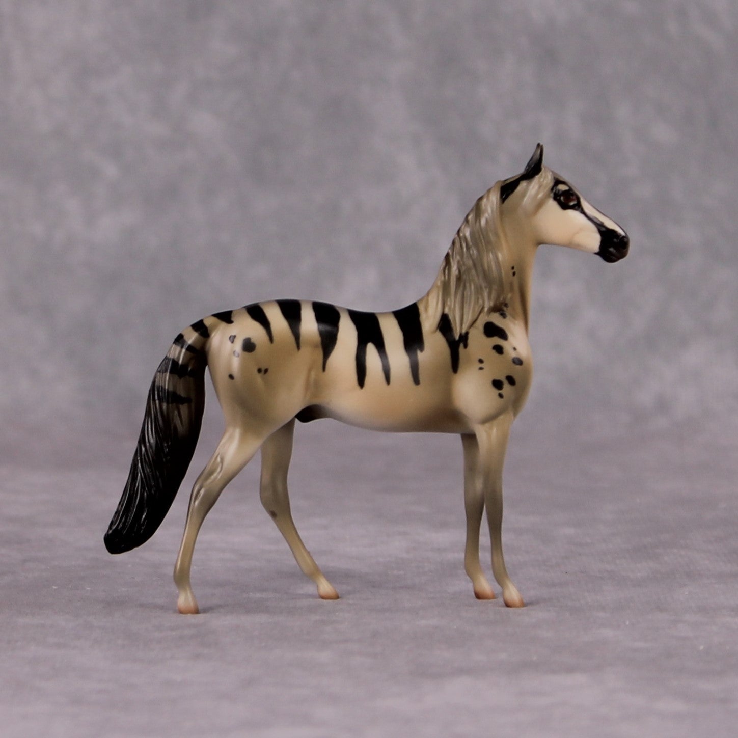 "Viverrid" LE-3 Banded Civet Inspired Deco Morgan Chip By Jess Hamill - 2025 The Menagerie Series MS25